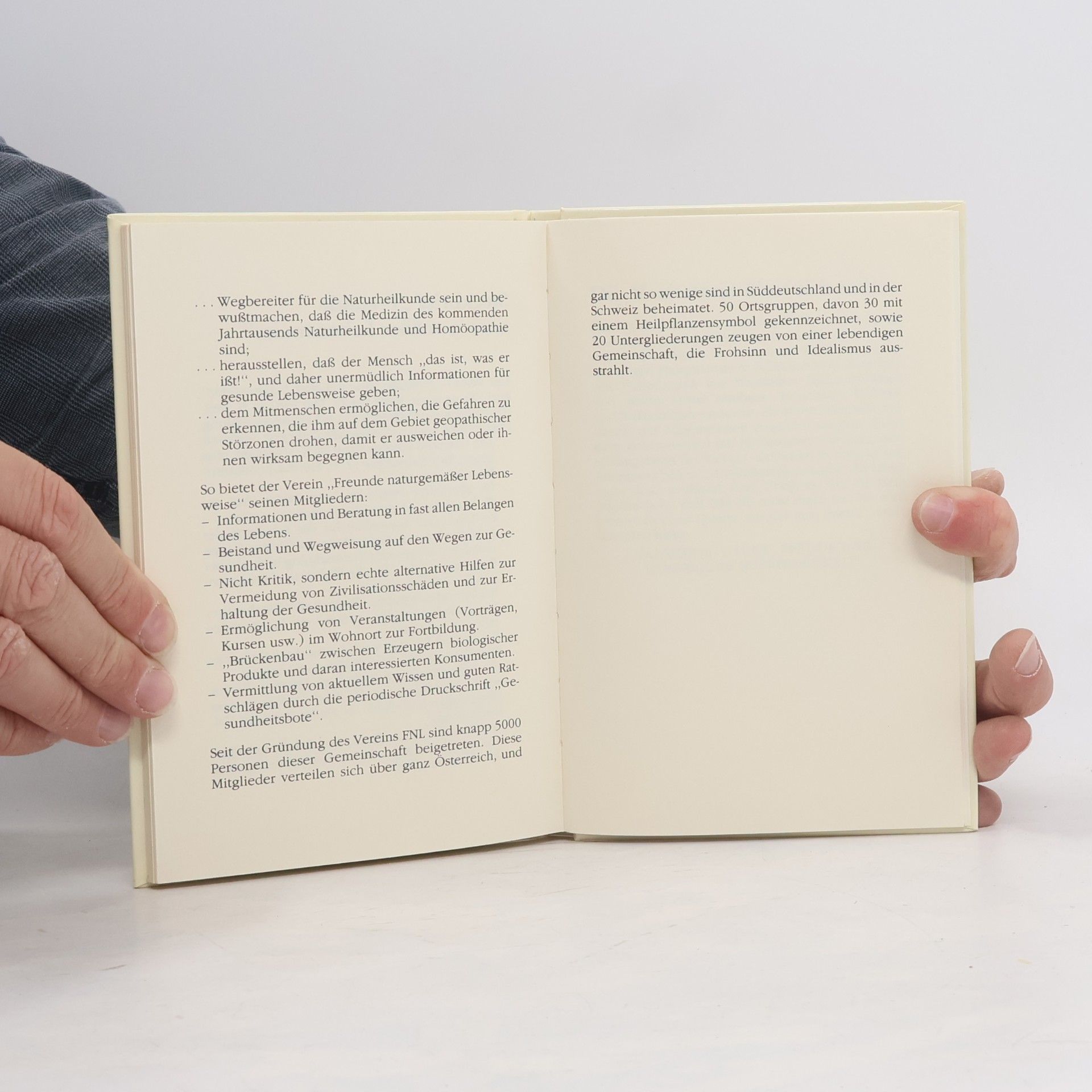 Itta Klettenhammer Himmelschlüssel
