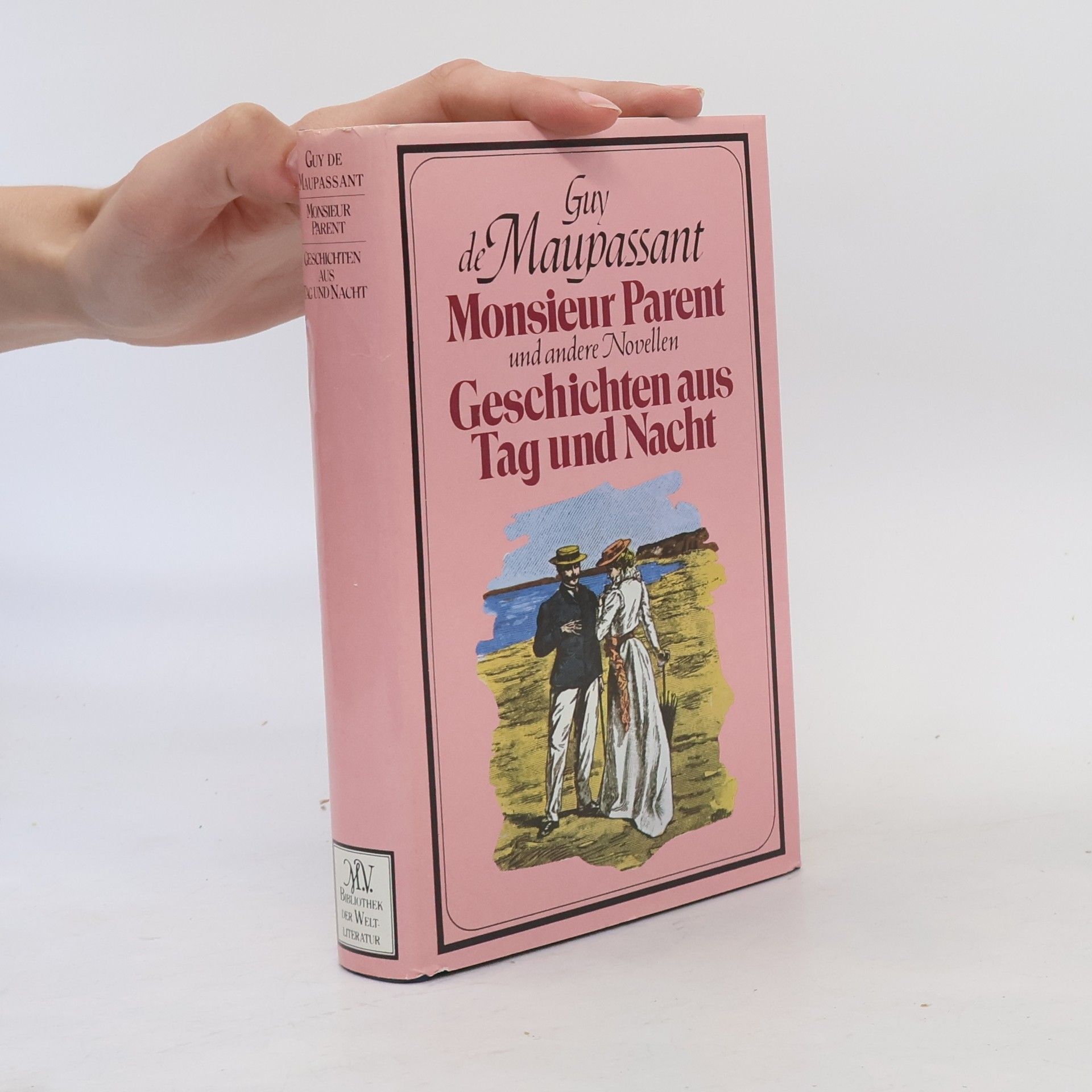 Guy de Maupassant Monsieur Parent und andere Novellen