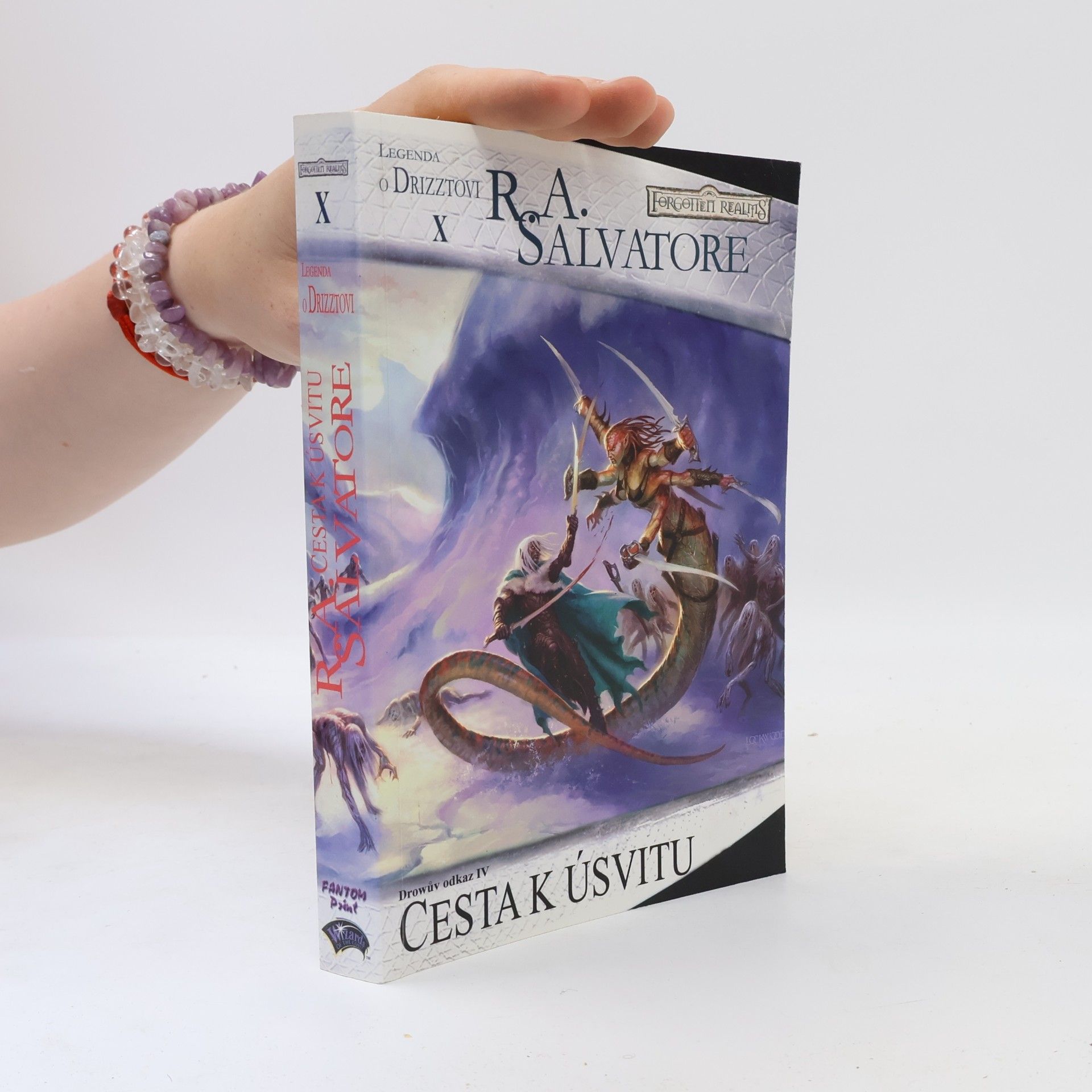 R. A. Salvatore Drowův odkaz IV. Cesta k úsvitu