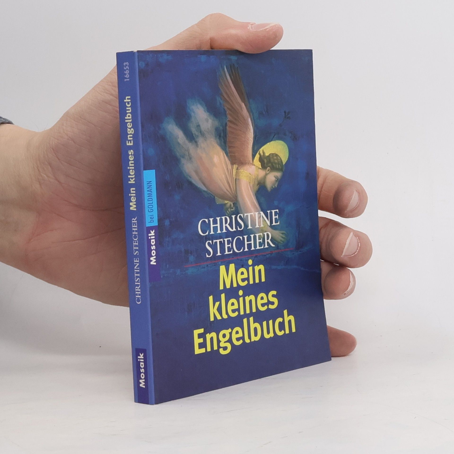 Stecher Christine Mein kleines Engelbuch
