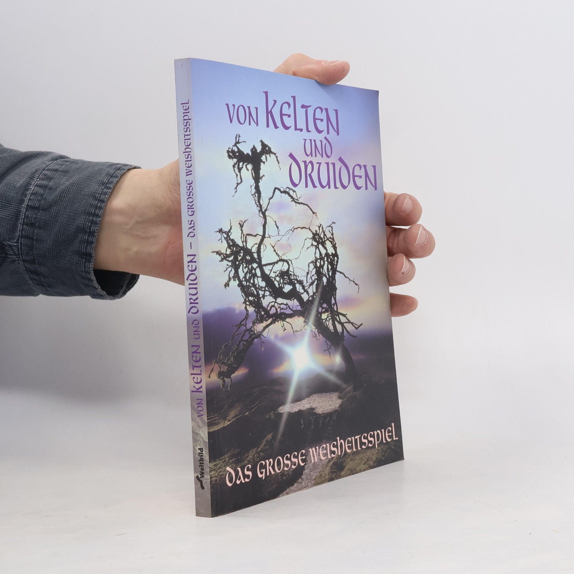 Herbert Schwinghammer Von Kelten und Druiden