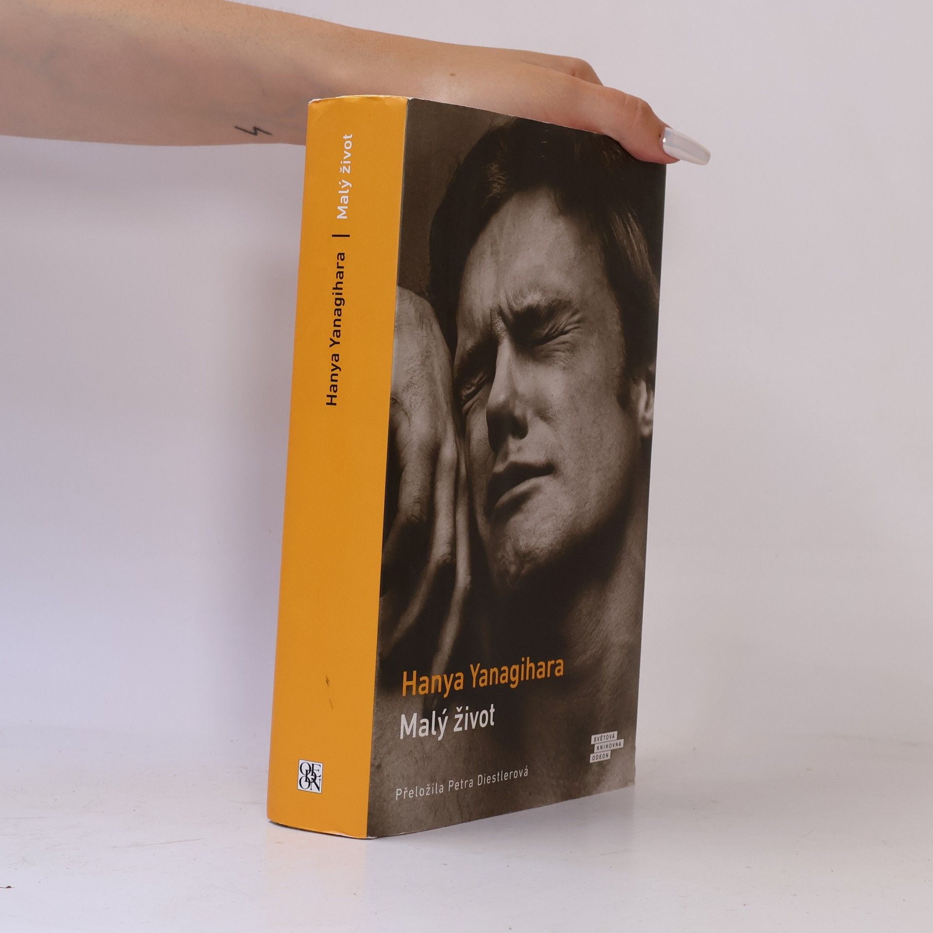 Hanya Yanagihara Malý život