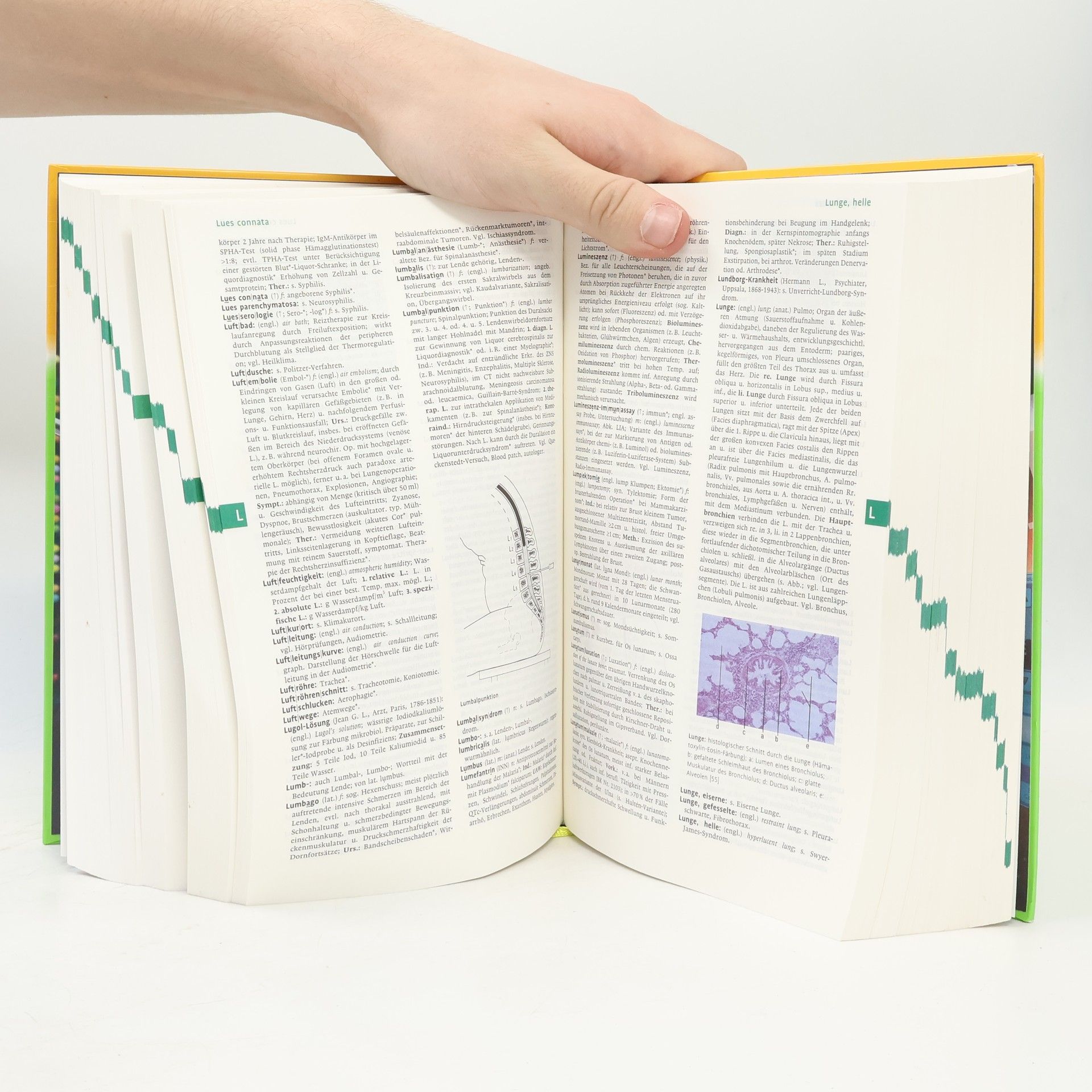 Willibald Pschyrembel Pschyrembel Klinisches Wörterbuch