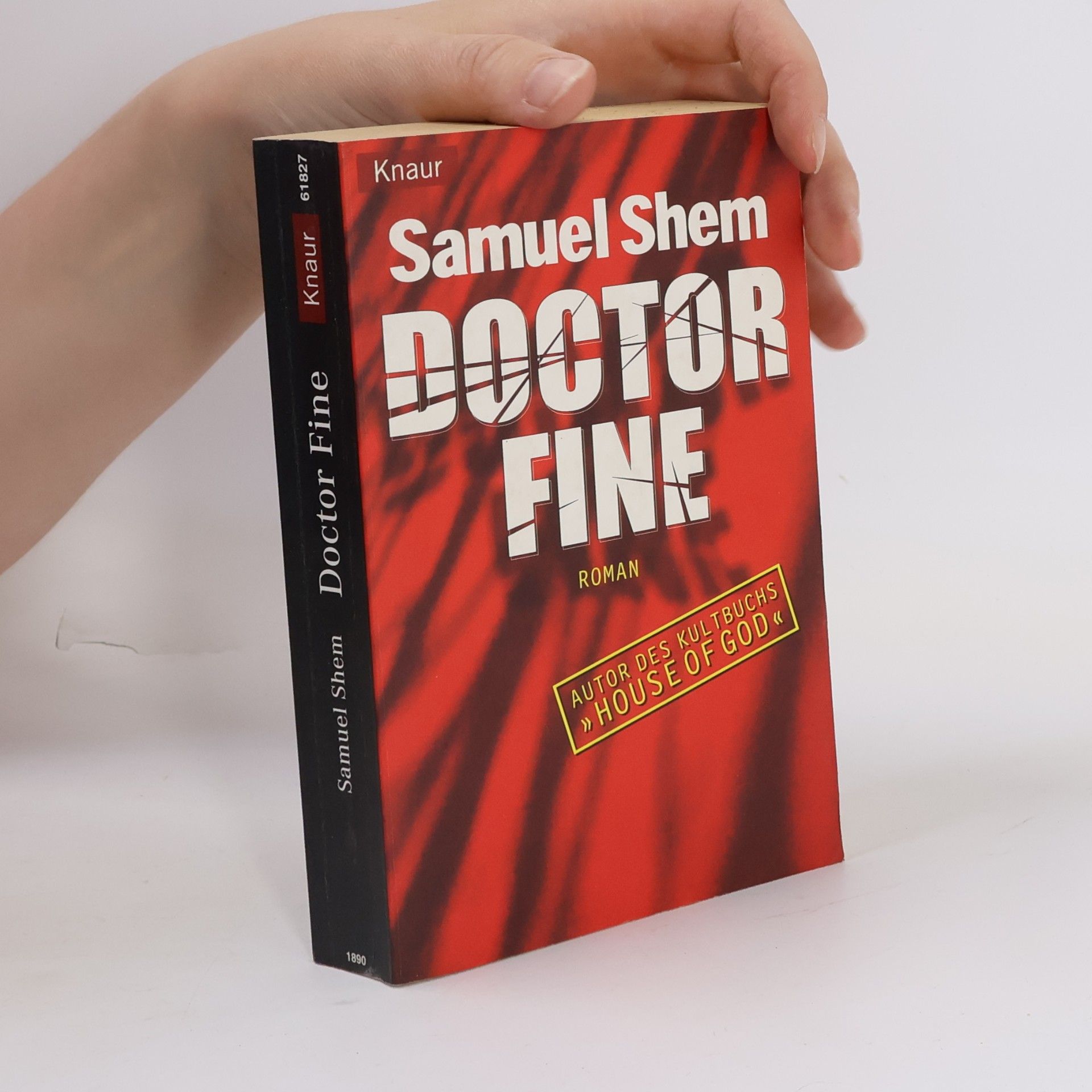 Samuel Shem Doctor Fine