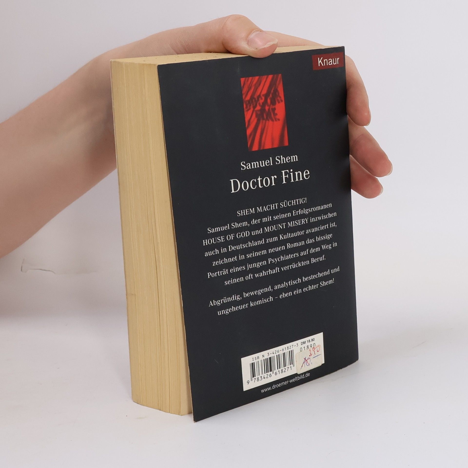 Samuel Shem Doctor Fine