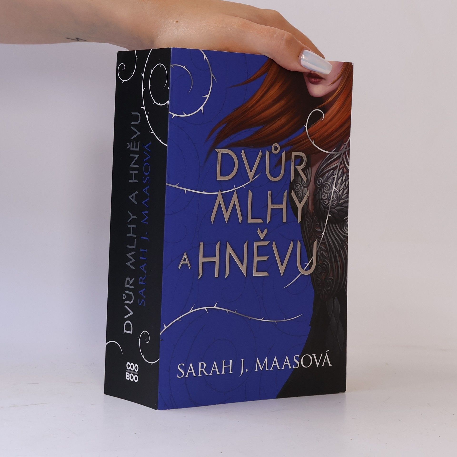 Sarah J. Maas Dvůr mlhy a hněvu