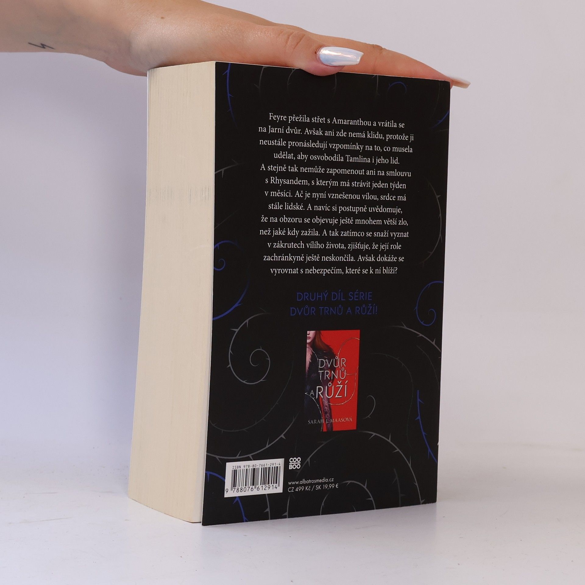 Sarah J. Maas Dvůr mlhy a hněvu