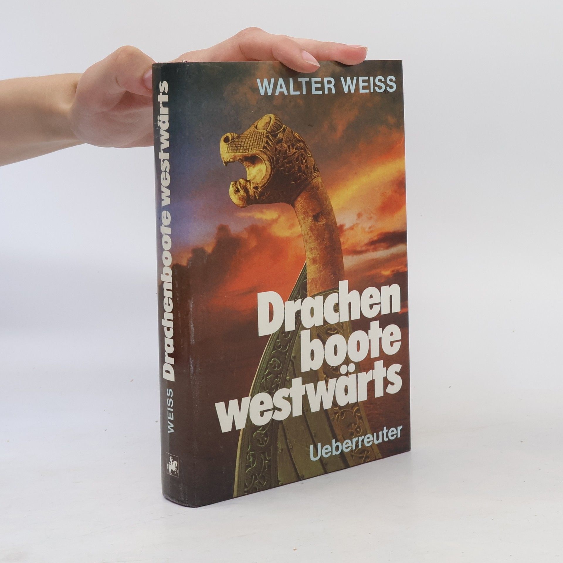 Drachenboote westwärts
