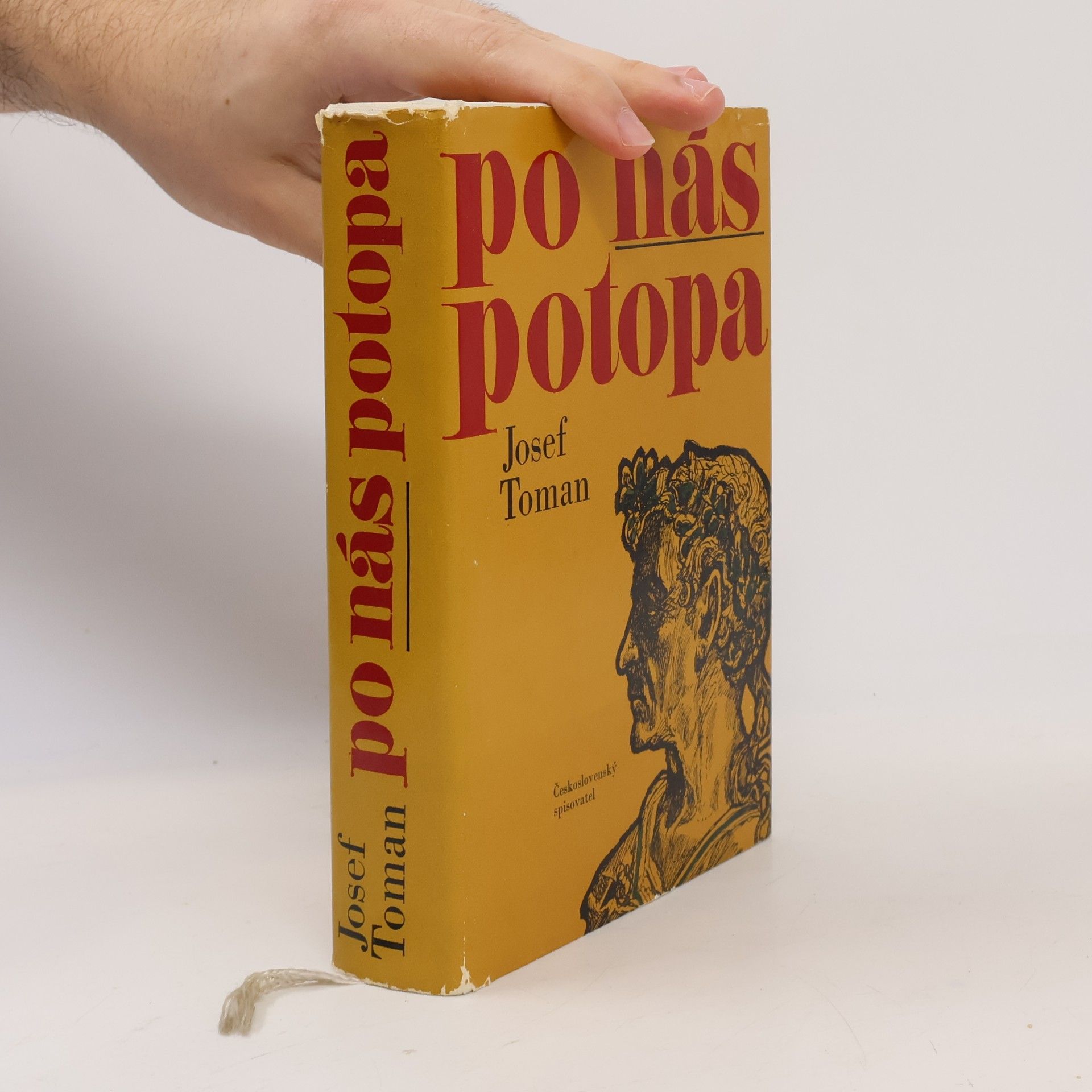 Josef Toman Po nás potopa
