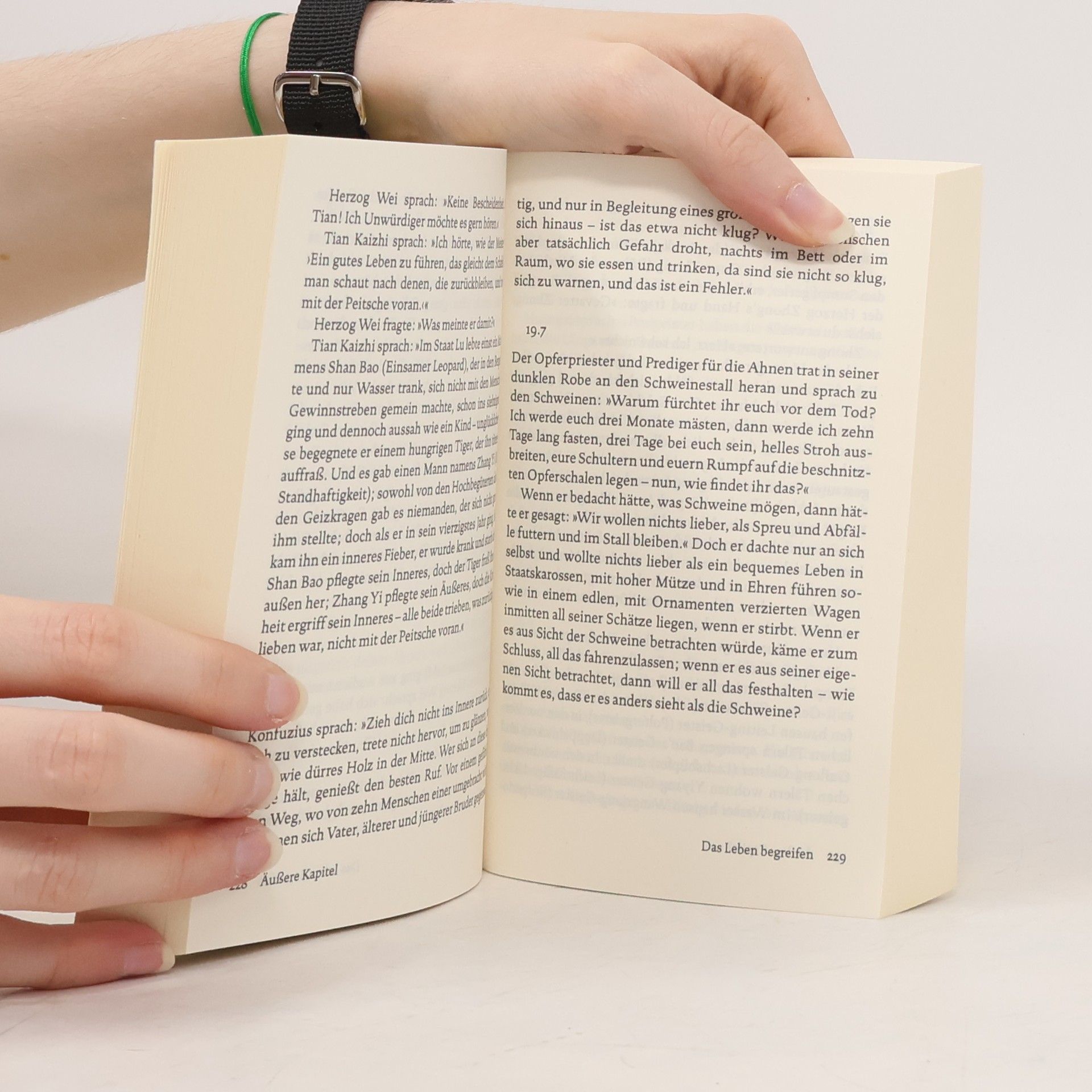 Autores varios Zhuangzi. Das Buch der daoistischen Weisheit