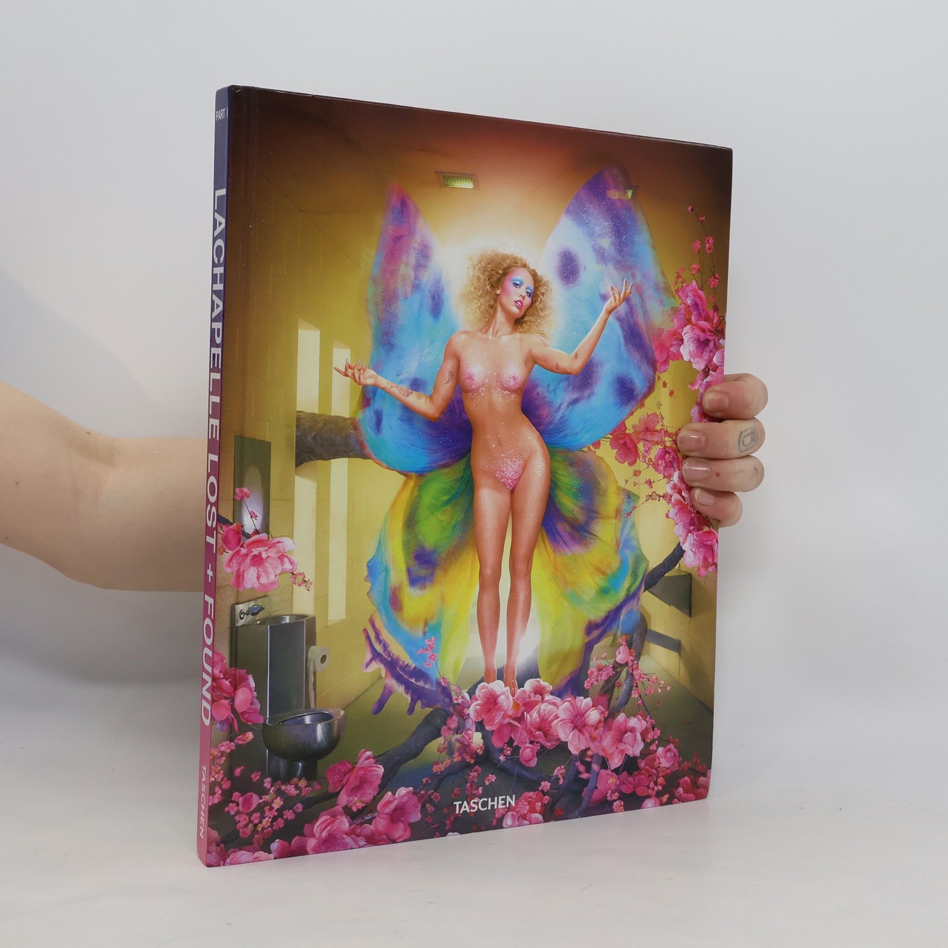Kolektiv autorů David LaChapelle. Lost + Found