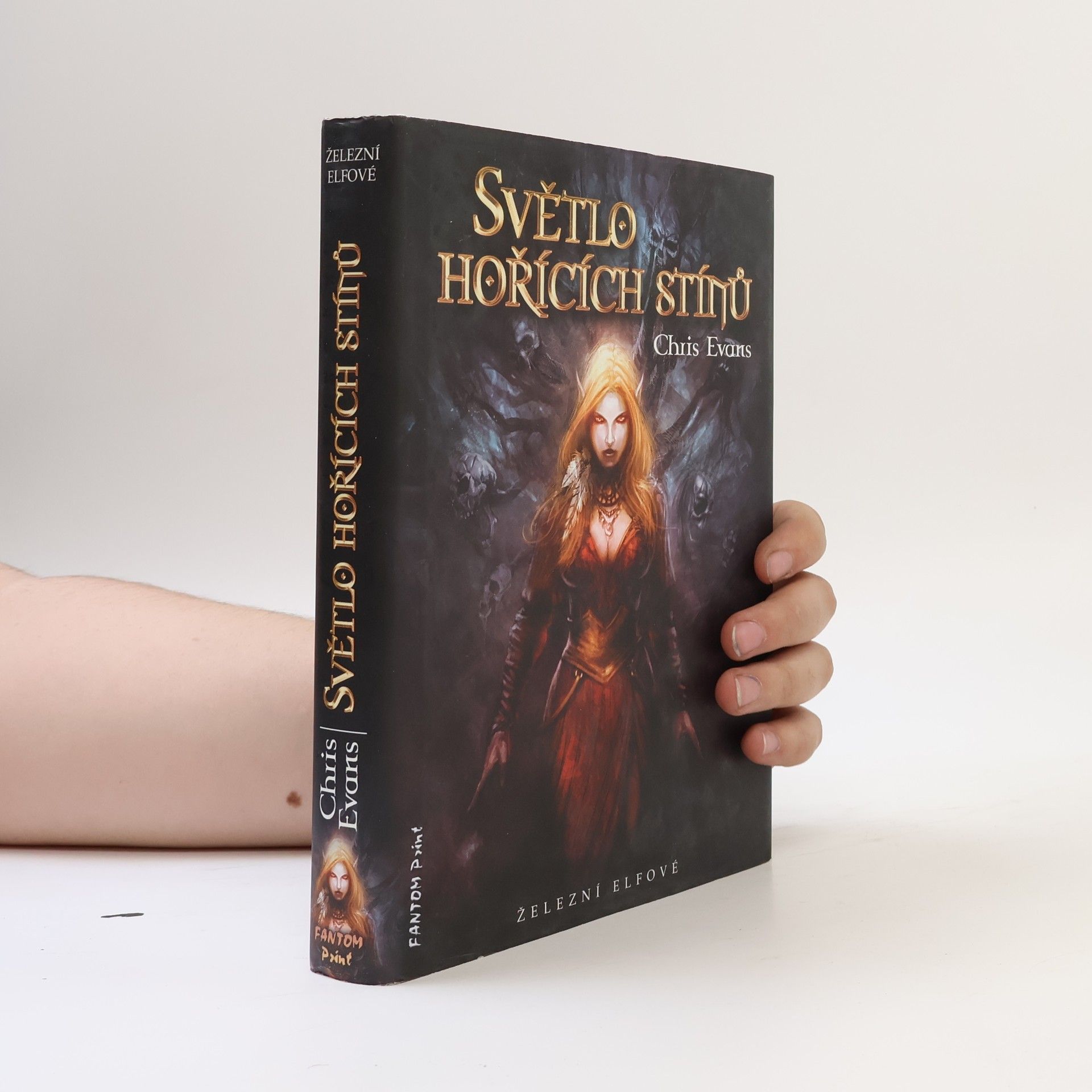 Světlo hořících stínů. Železní elfové 2