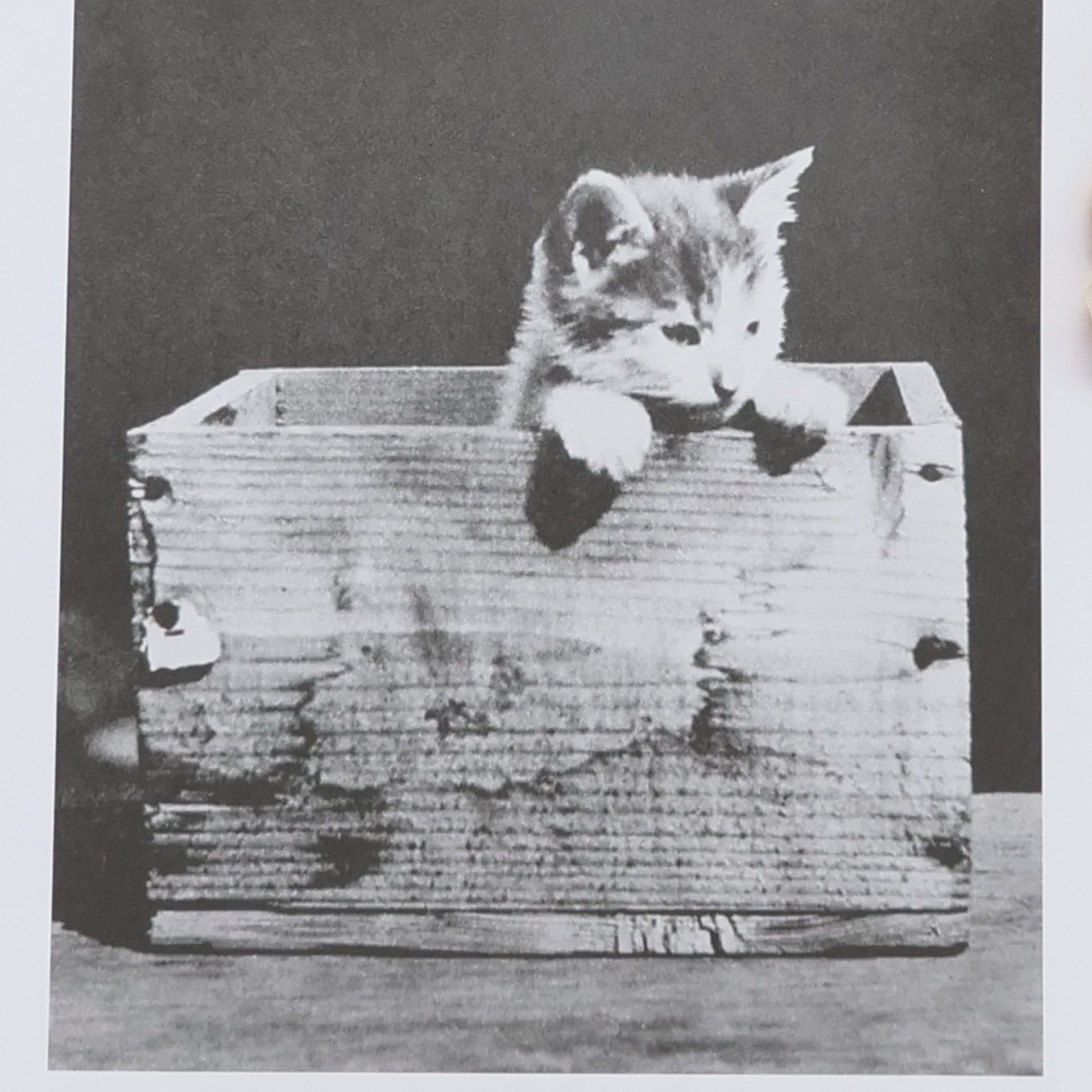 Karel Čapek Pudlenka