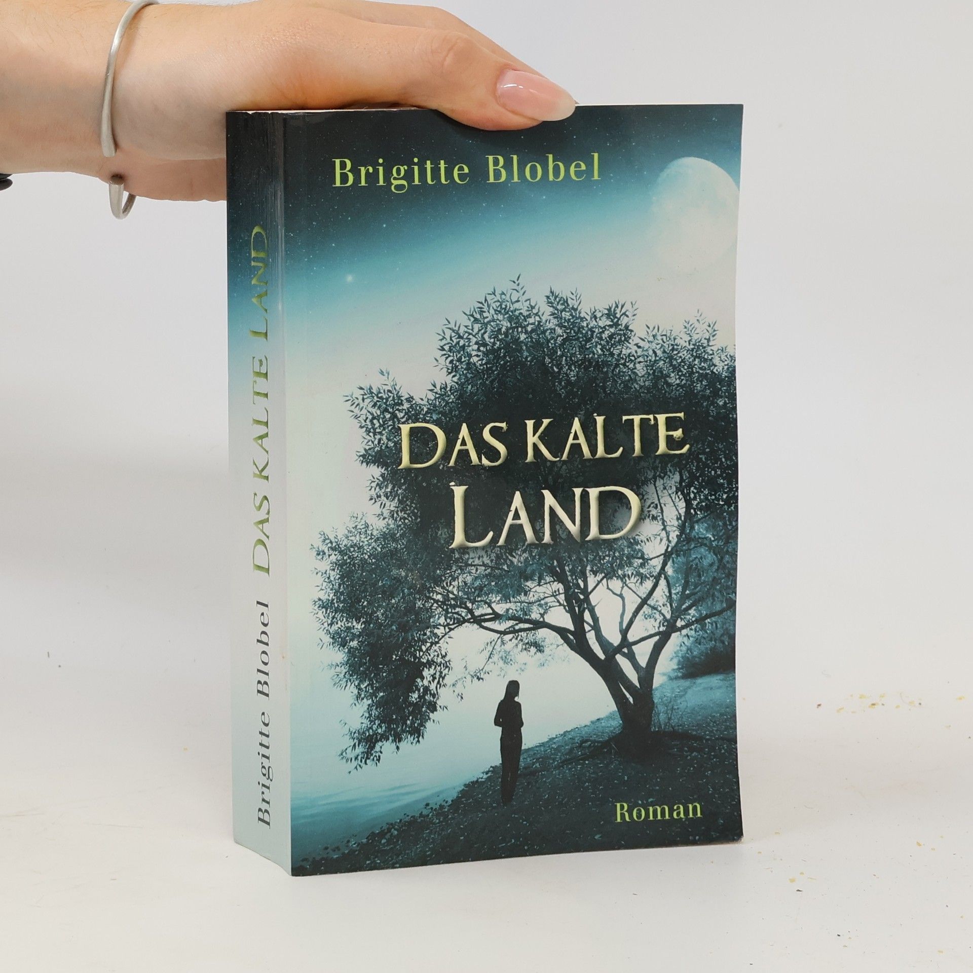 Brigitte Blobel Das kalte Land