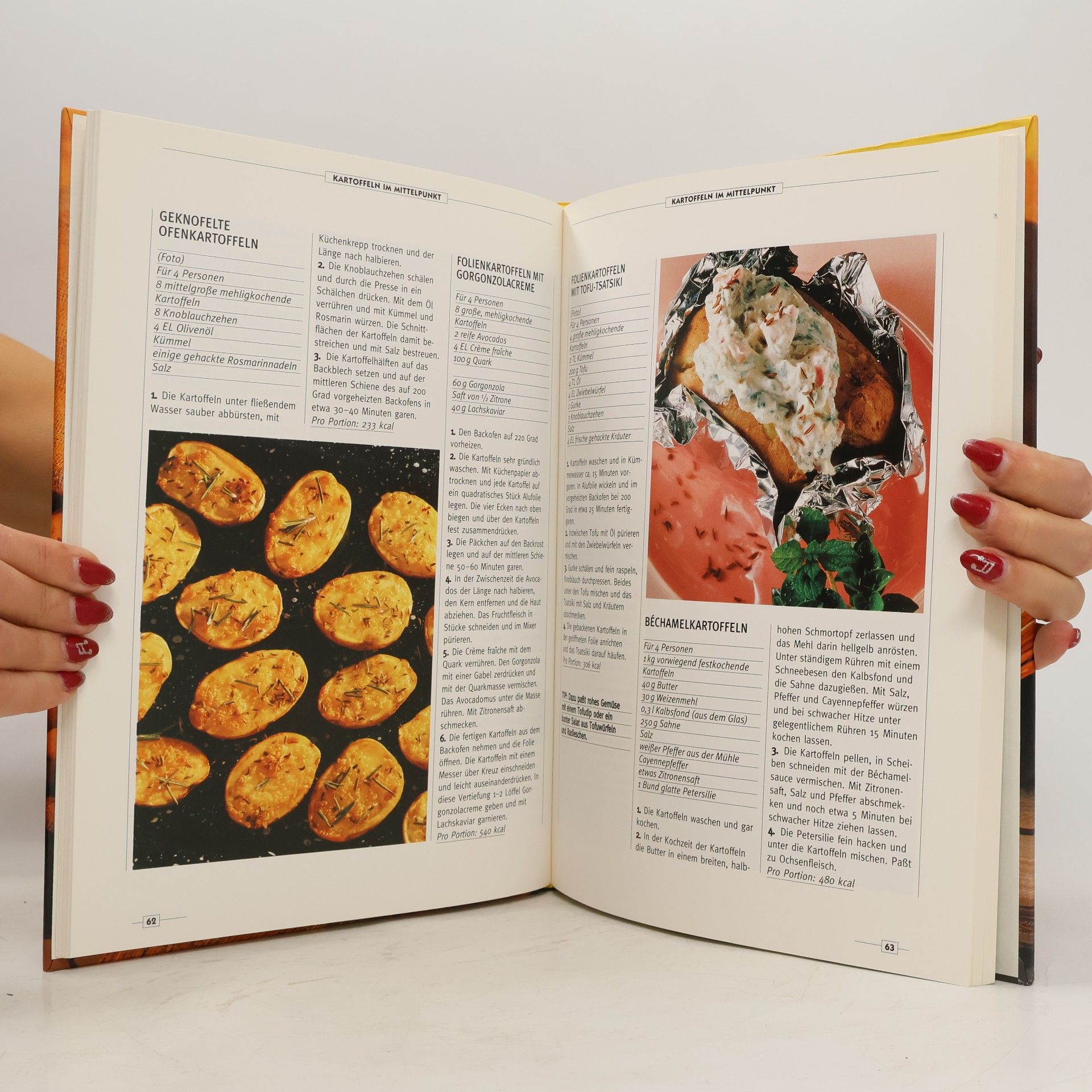 Autorenkollektiv Käse & Kartoffeln. Die 200 besten Rezepte
