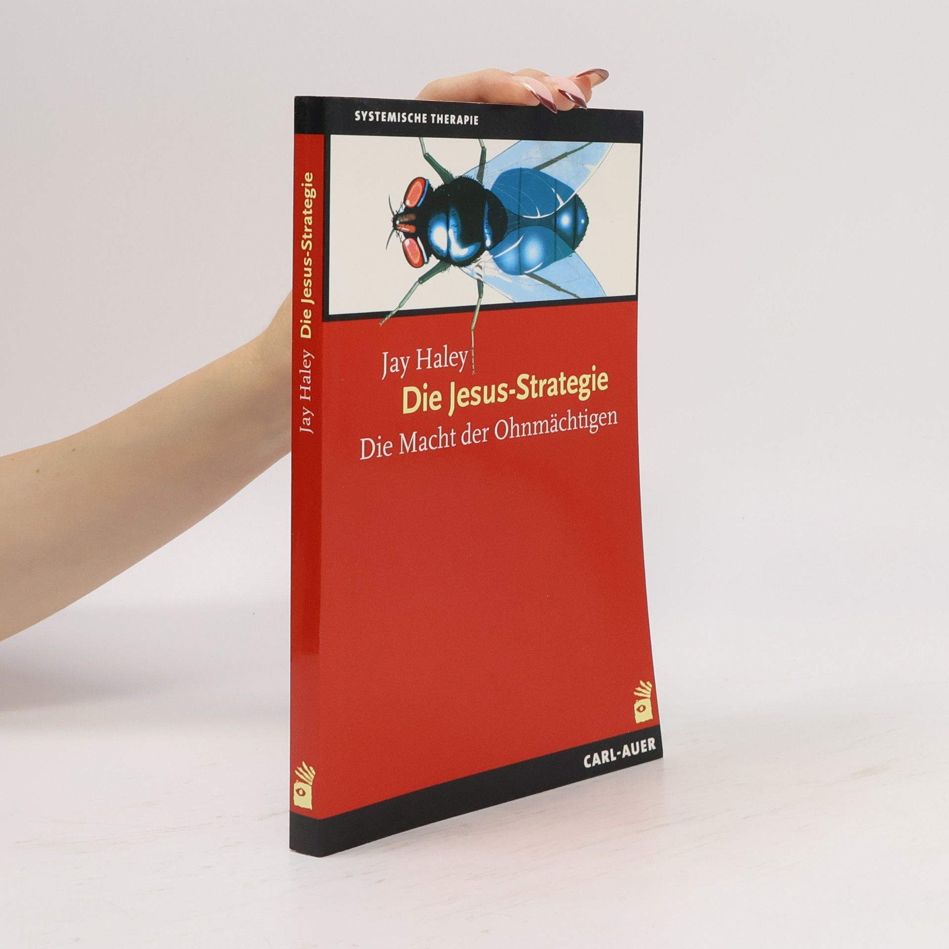 Die Jesus-Strategie