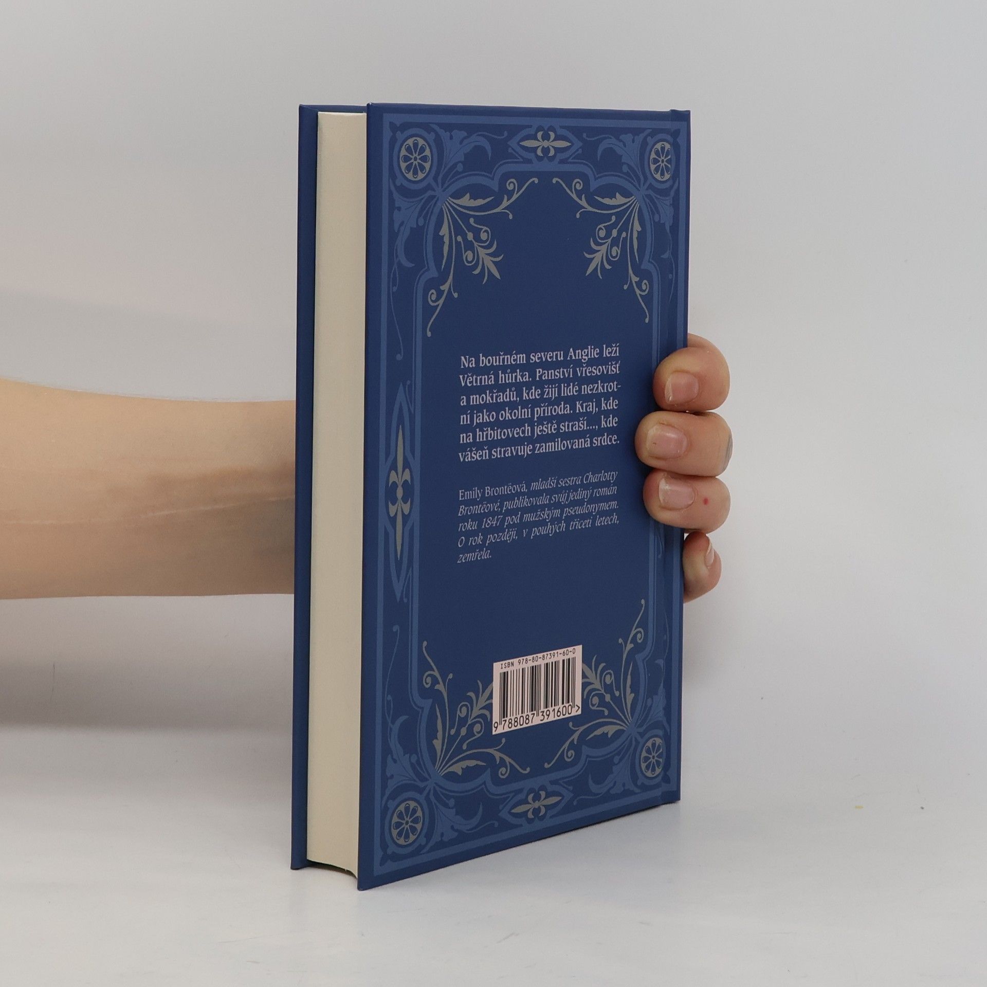 Emily Brontë Na větrné hůrce