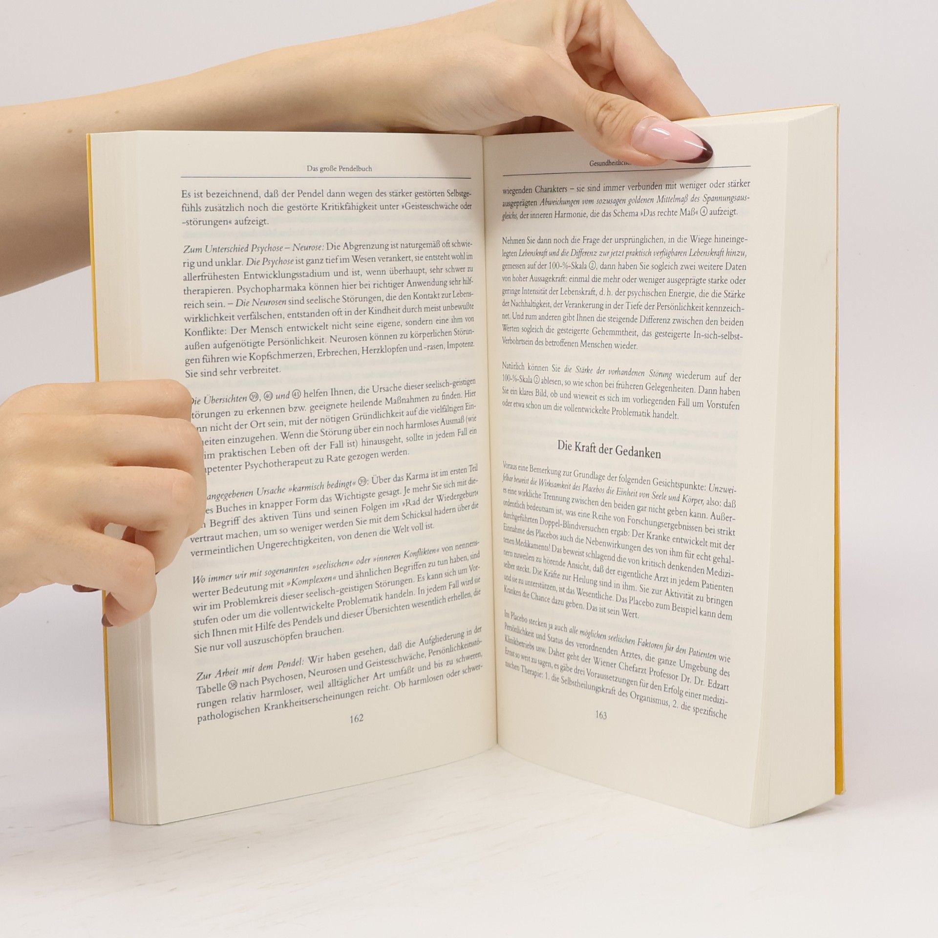 Anton Stangl Das große Pendelbuch