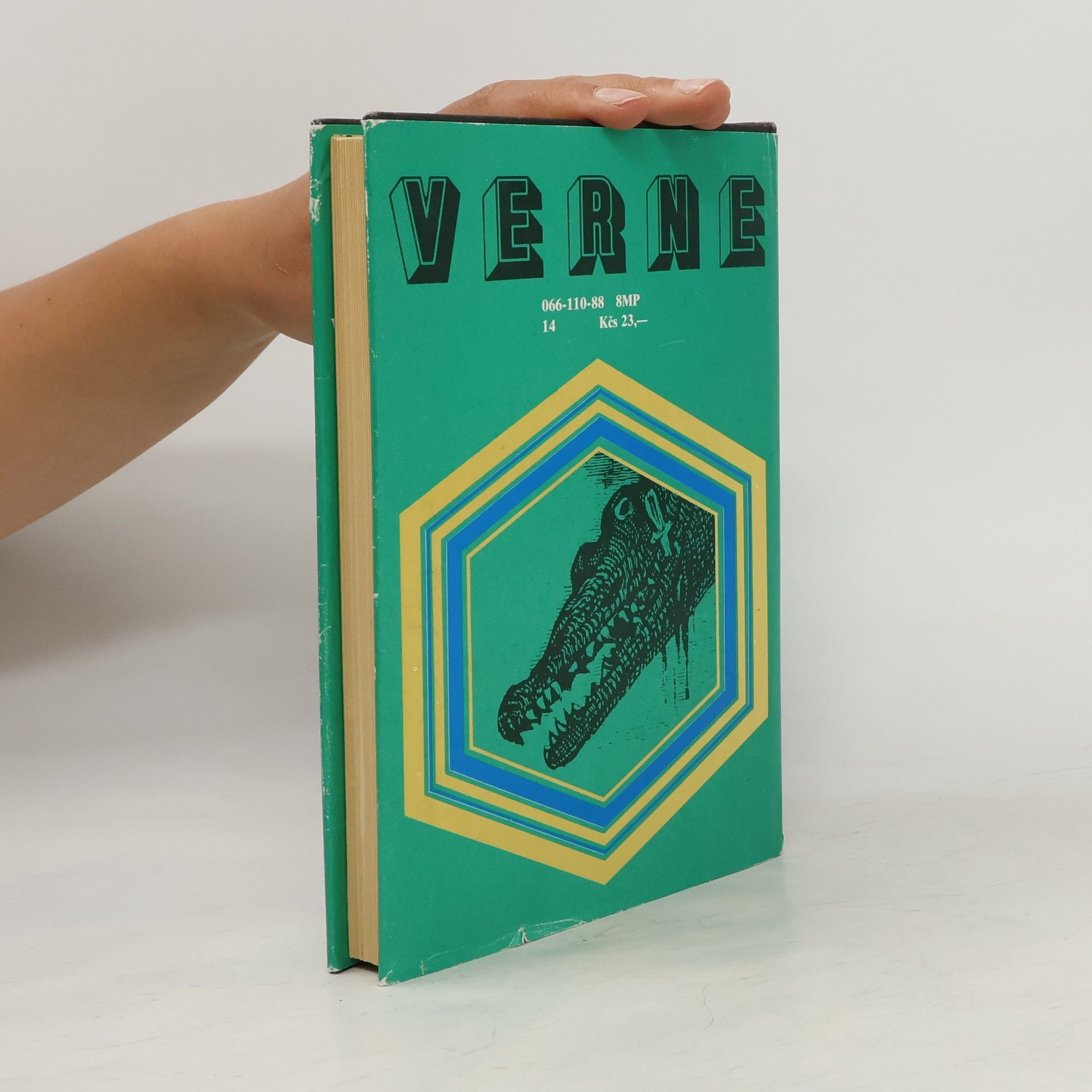 Jules Verne 800 míľ po Amazone