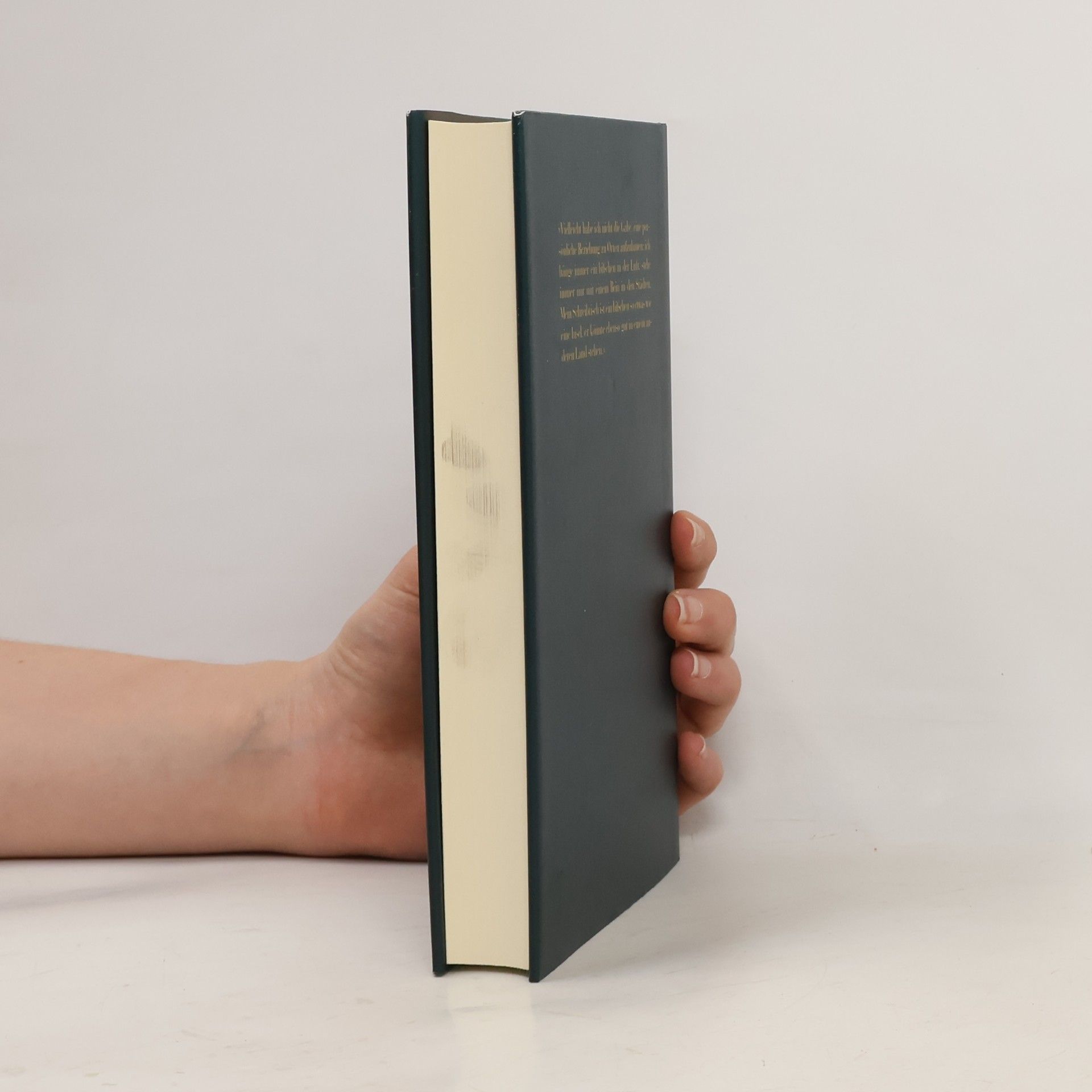 Italo Calvino Eremit in Paris