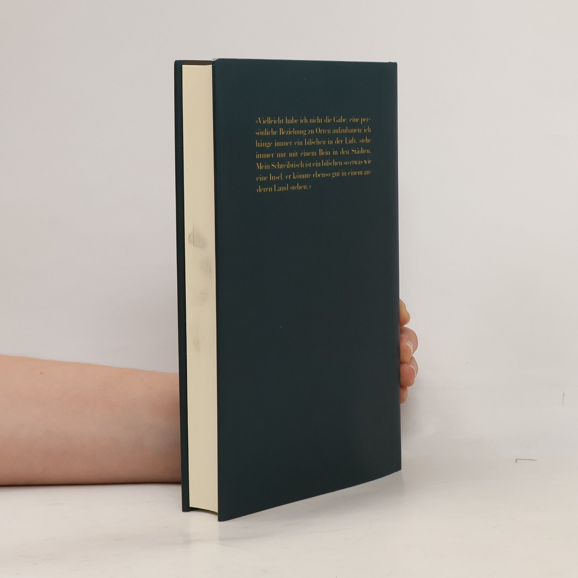 Italo Calvino Eremit in Paris