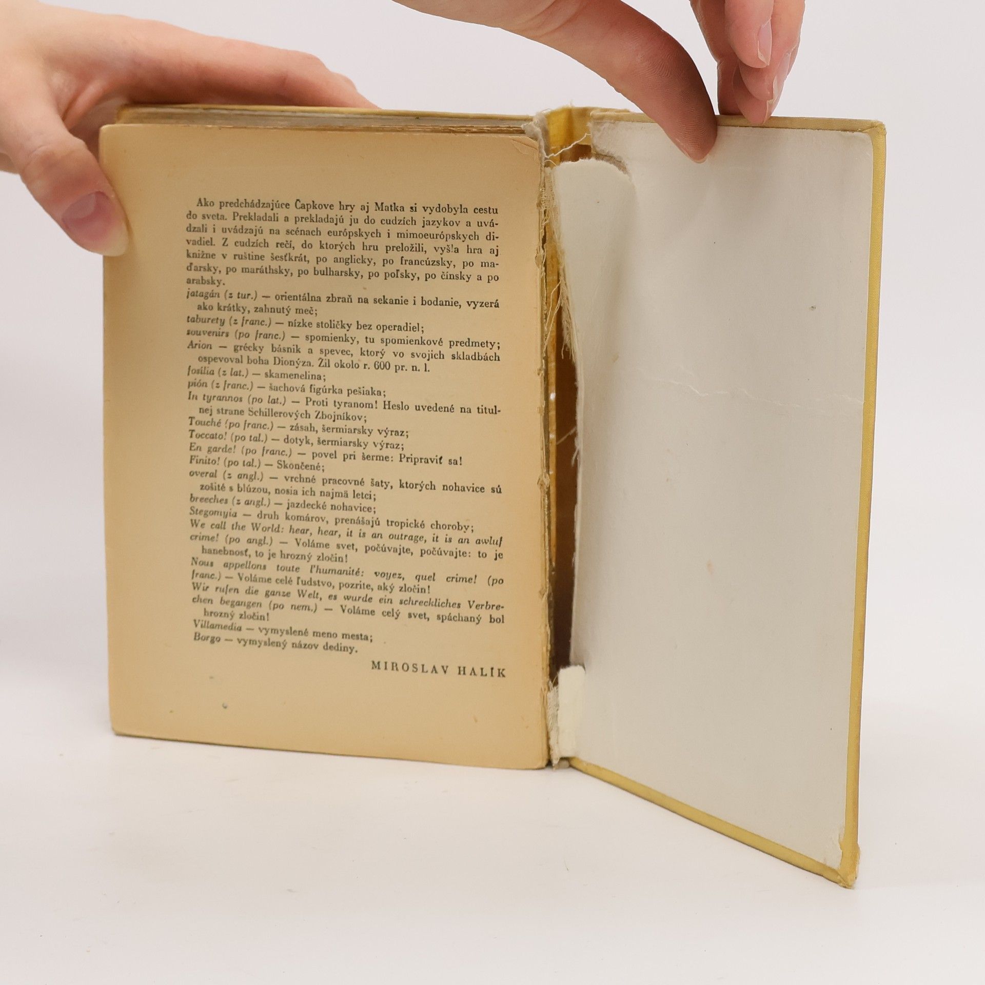 Karel Čapek R. U. R., Biela nemoc, Matka