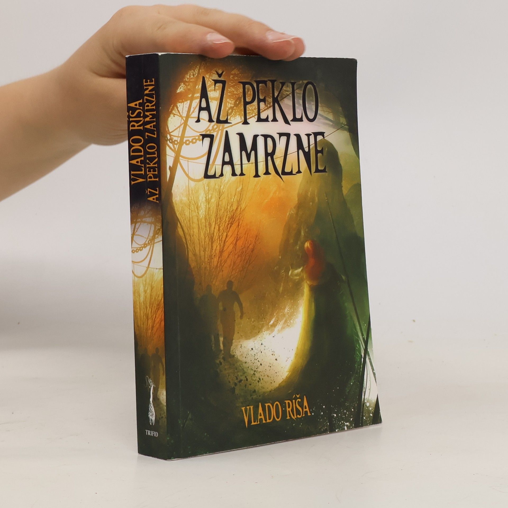 Vlado Ríša Až peklo zamrzne