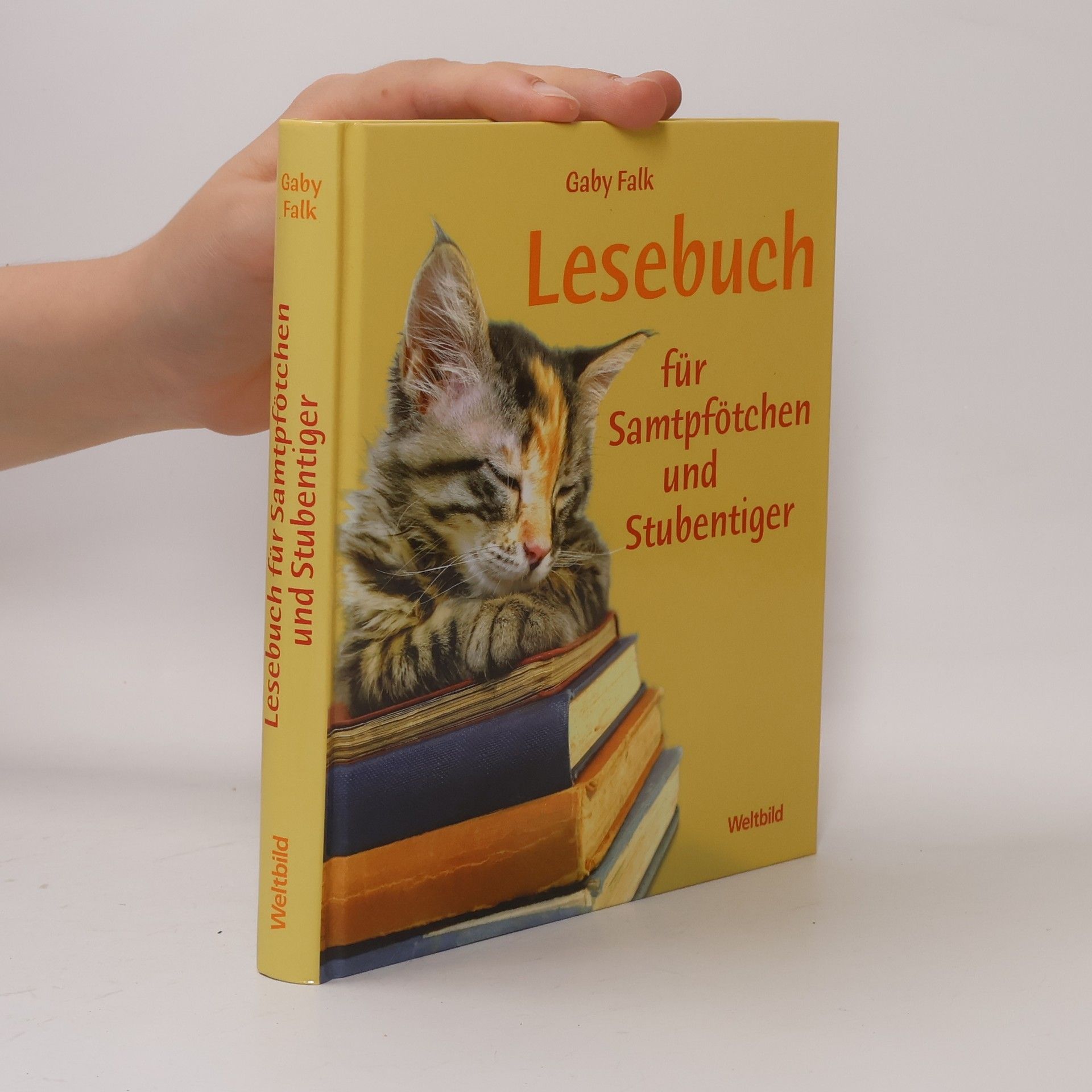 Gaby Falk Lesebuch für Samtpfötchen und Stubentiger