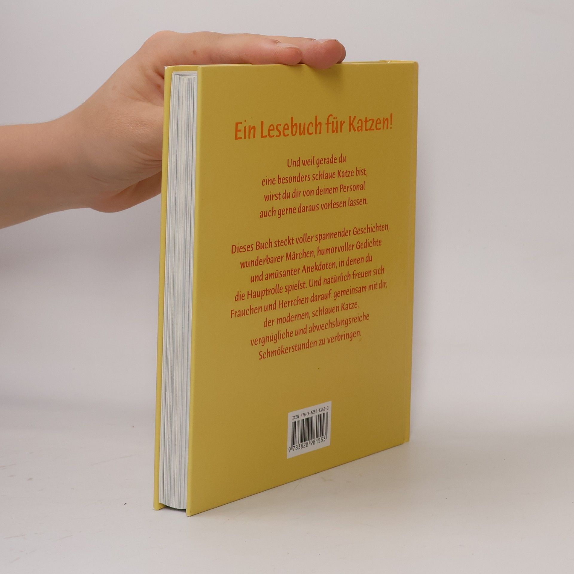 Gaby Falk Lesebuch für Samtpfötchen und Stubentiger