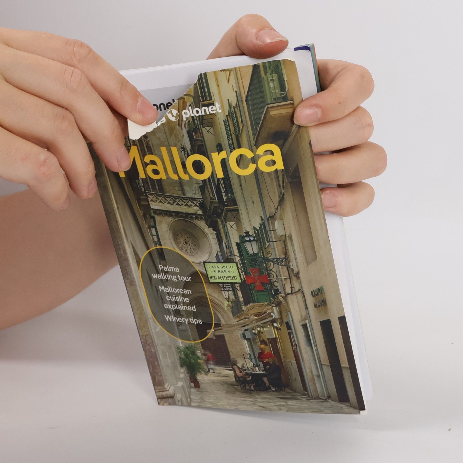 Alexis Averbuck Lonely Planet Mallorca