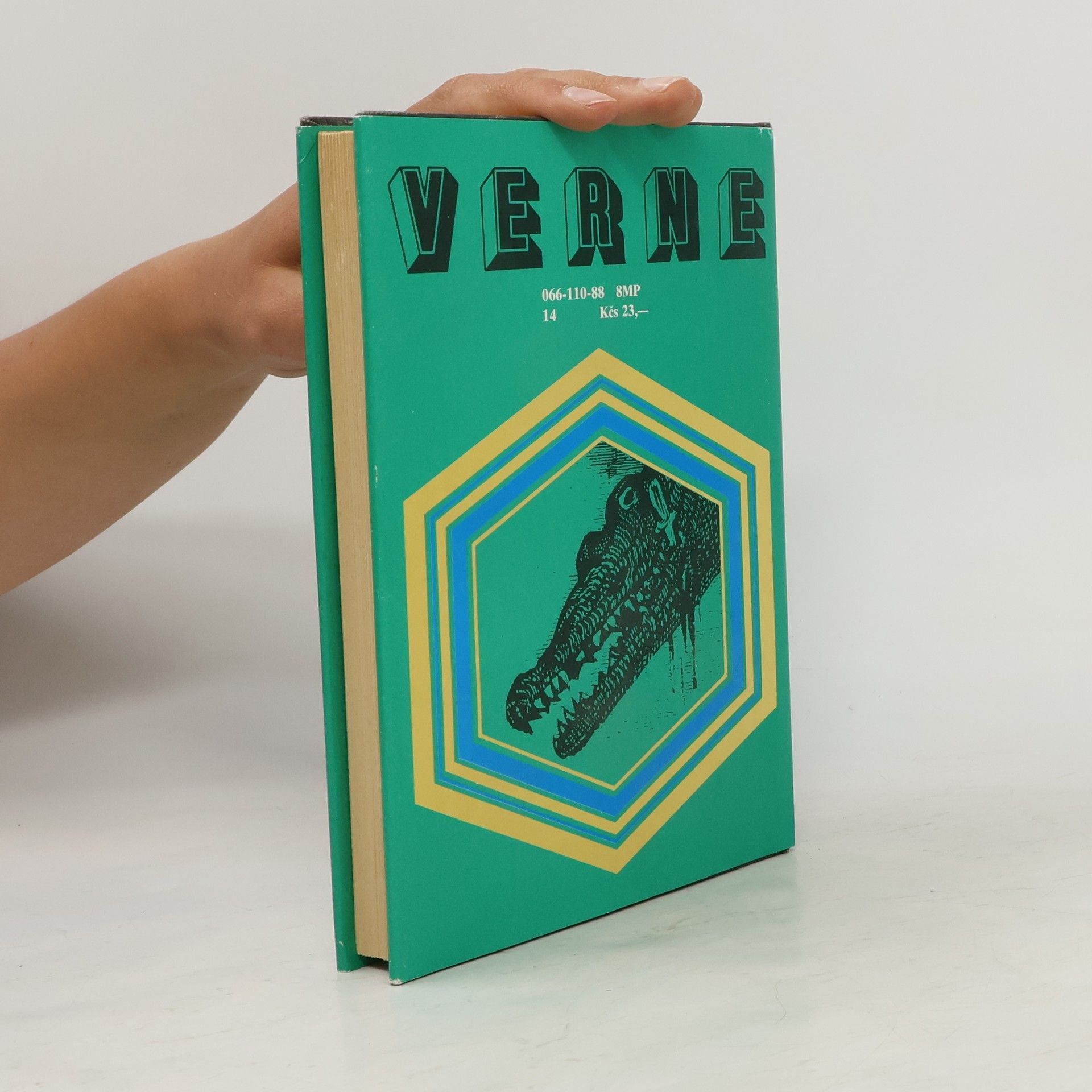 Jules Verne 800 míľ po Amazone