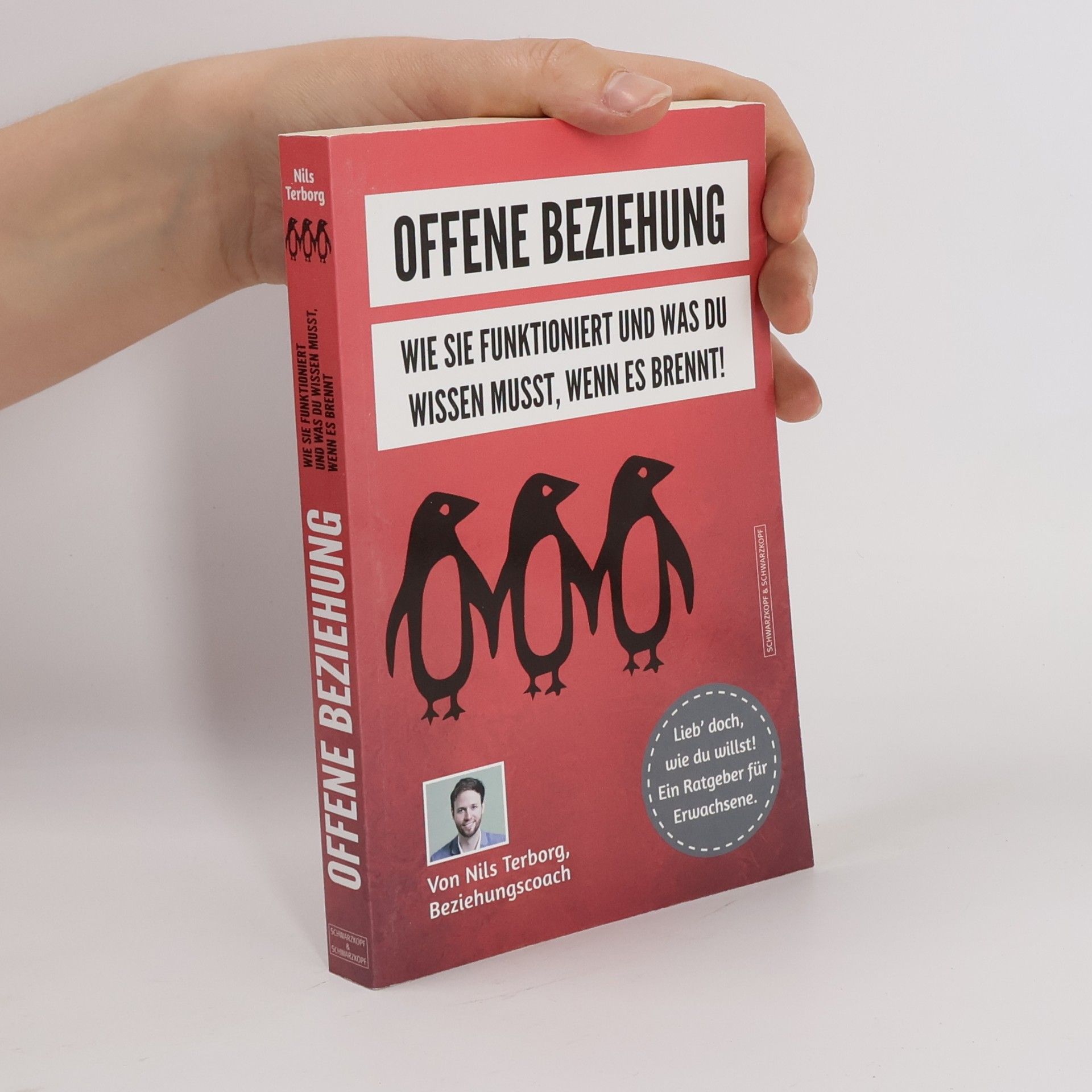 Nils Terborg Offene Beziehung: wie sie funktioniert und was du wissen musst, wenn es brennt!