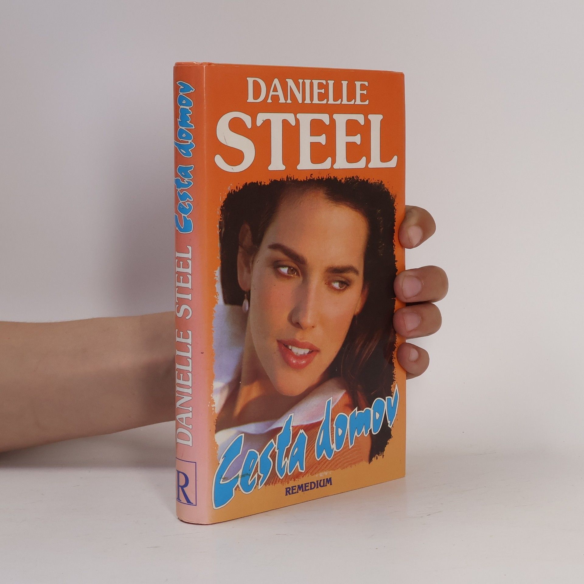 Danielle Steelová Cesta domov