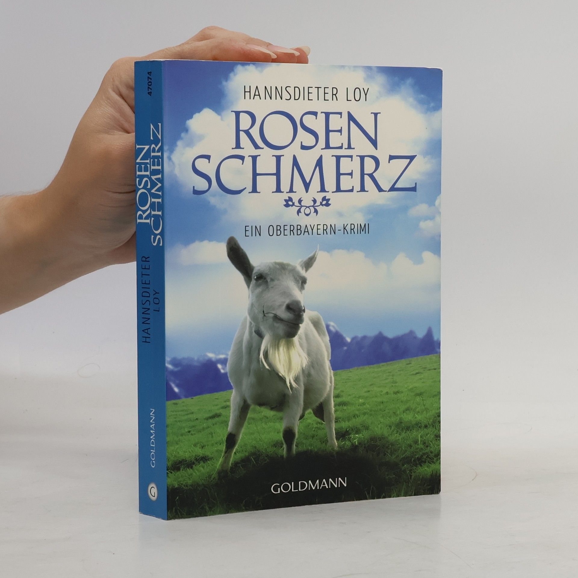 Hannsdieter Loy Rosenschmerz