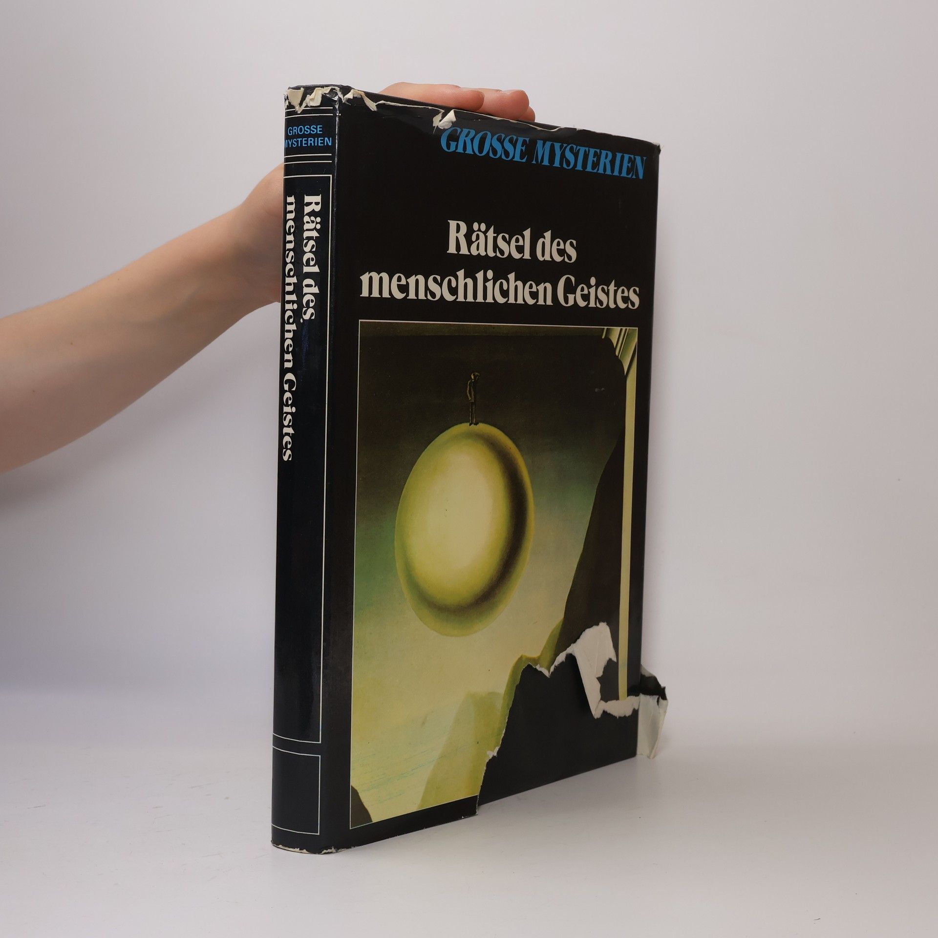 Autorenkollektiv Grosse Mysterien. Rätsel des menschlichen Geistes