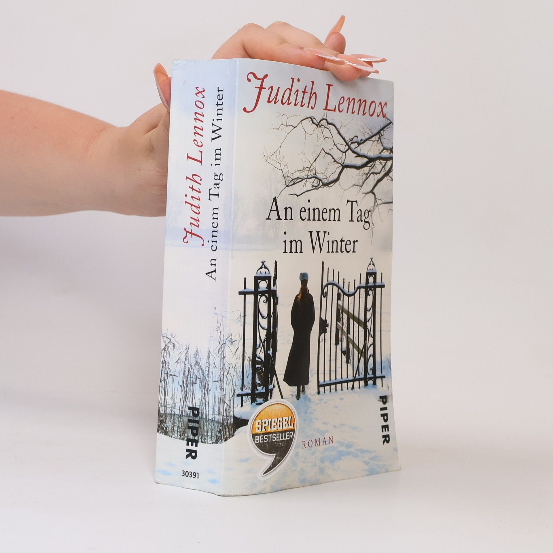 Judith Lennox An einem Tag im Winter