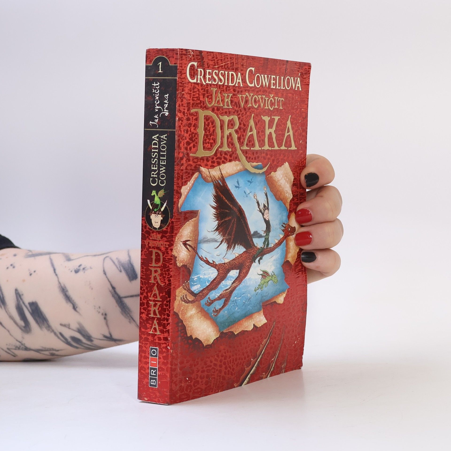 Cressida Cowell Jak vycvičit draka