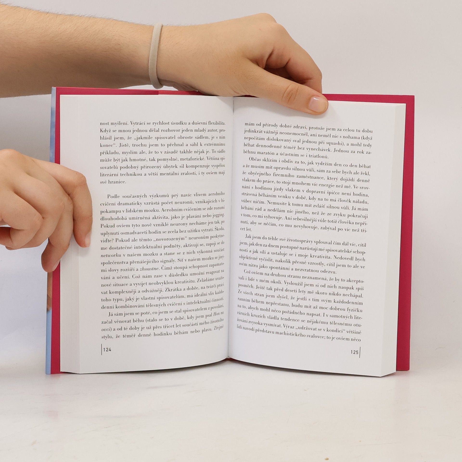Haruki Murakami Spisovatel jako povolání