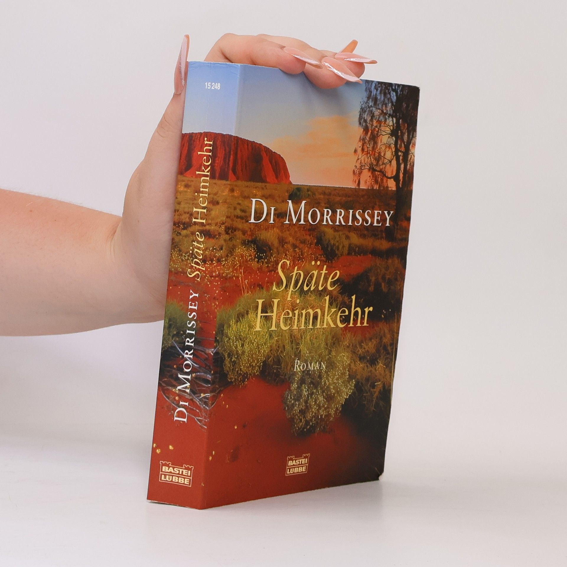 Di Morrissey Späte Heimkehr