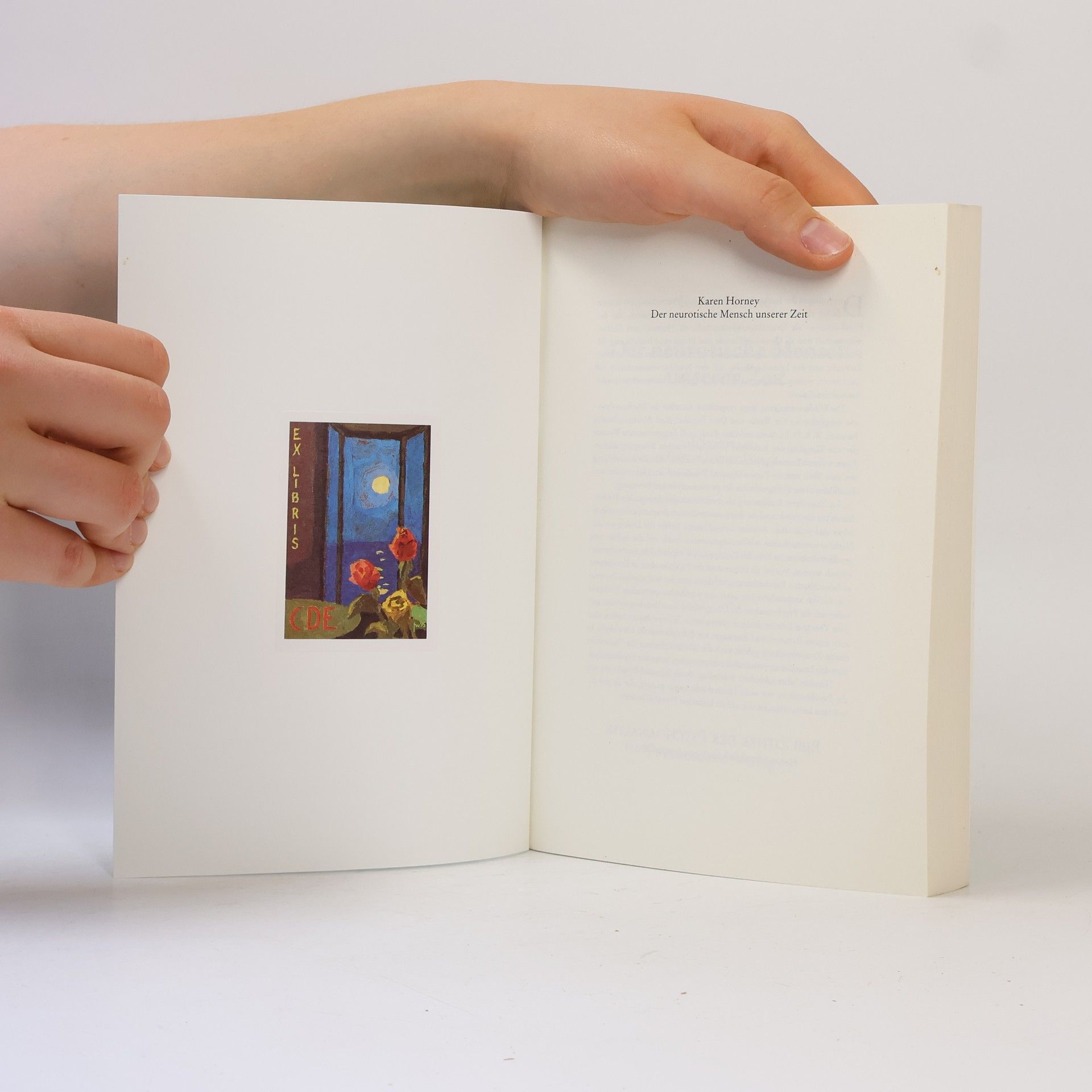 Karen Horney Bibliothek der Psychoanalyse: Der neurotische Mensch unserer Zeit