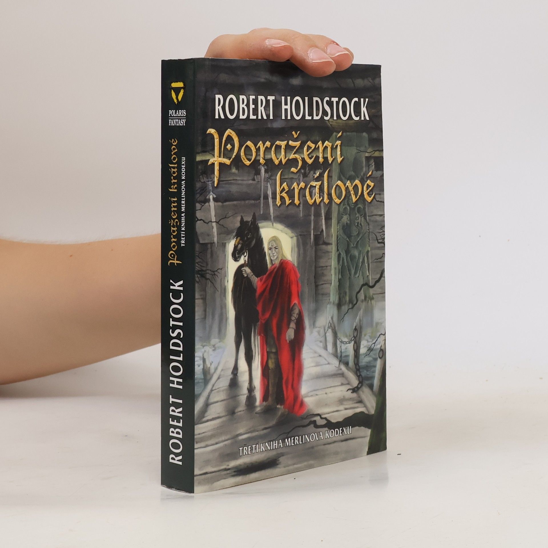 Robert Holdstock Poražení králové : třetí kniha Merlinova kodexu