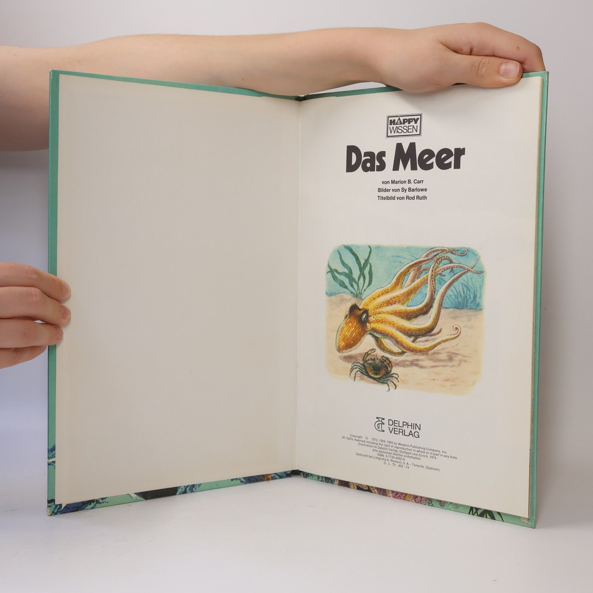 Marion B. Carr Das Meer