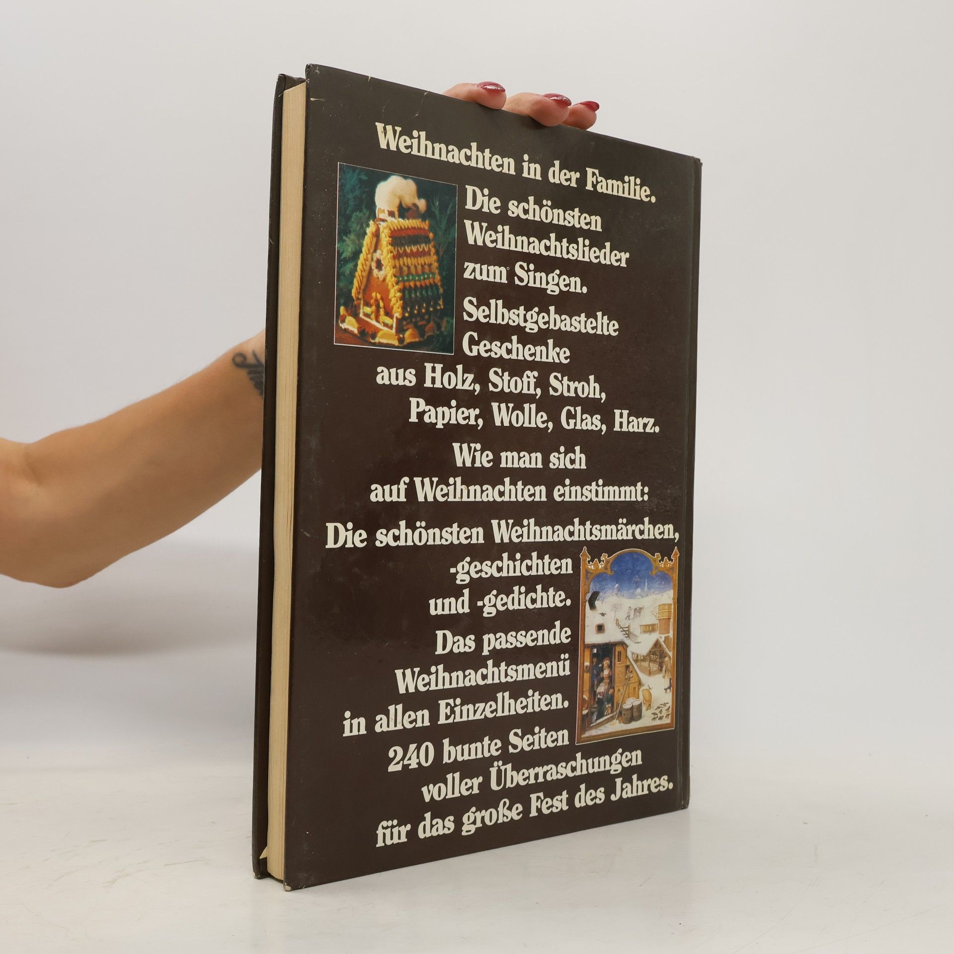 Reinecke K. Es Weihnachtet. Das grosse Weihnachtsbuch
