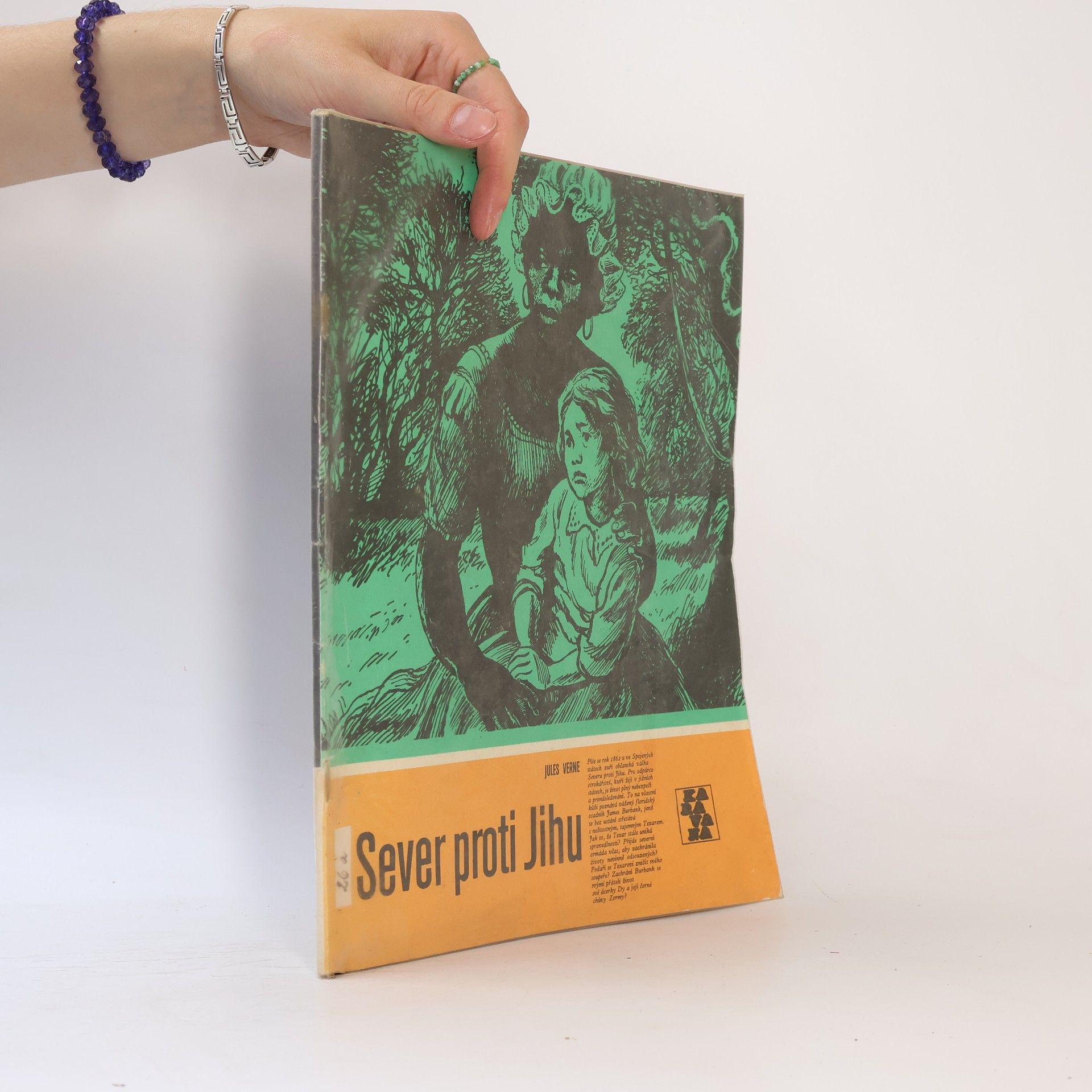 Jules Verne Sever proti jihu