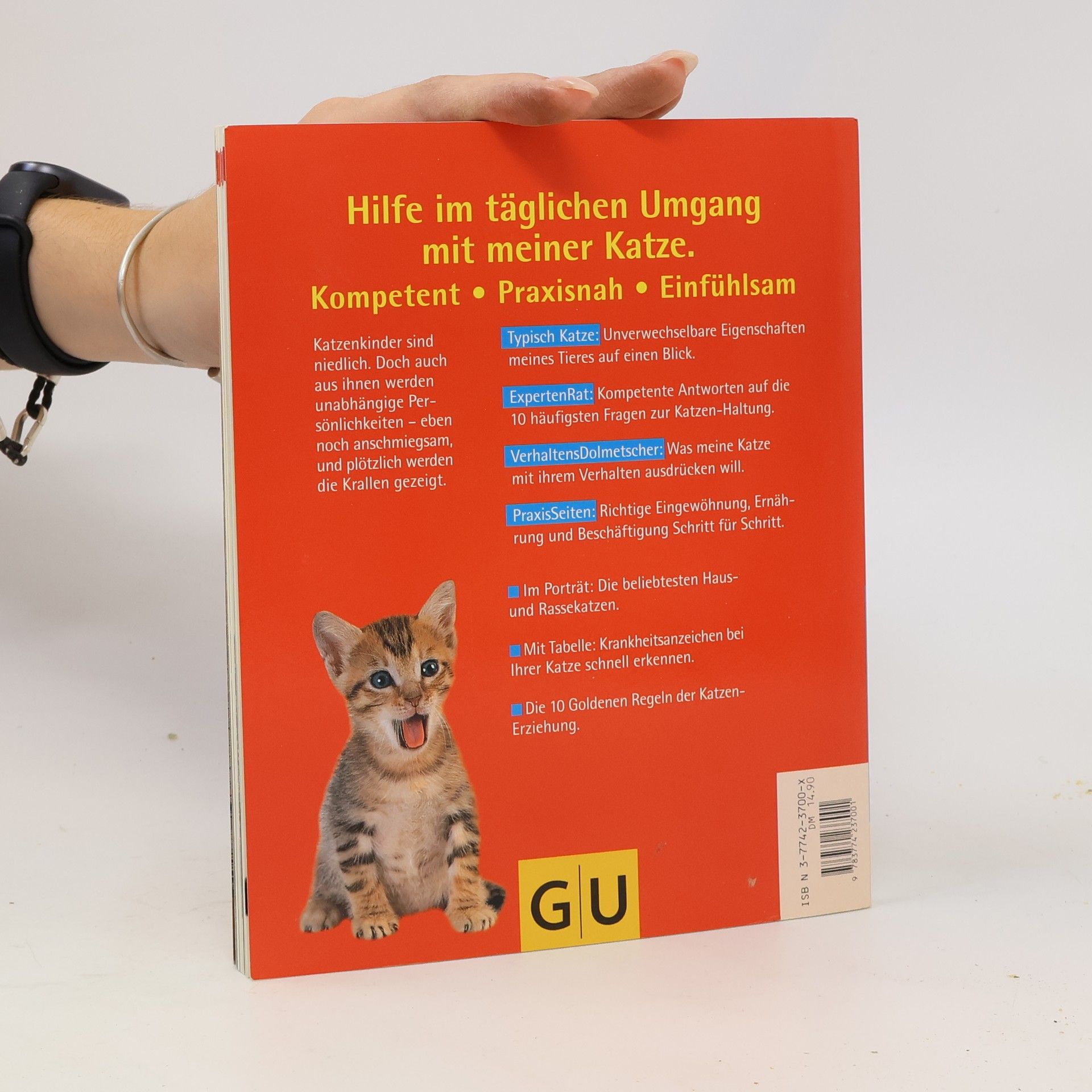 Katrin Behrend Katzen