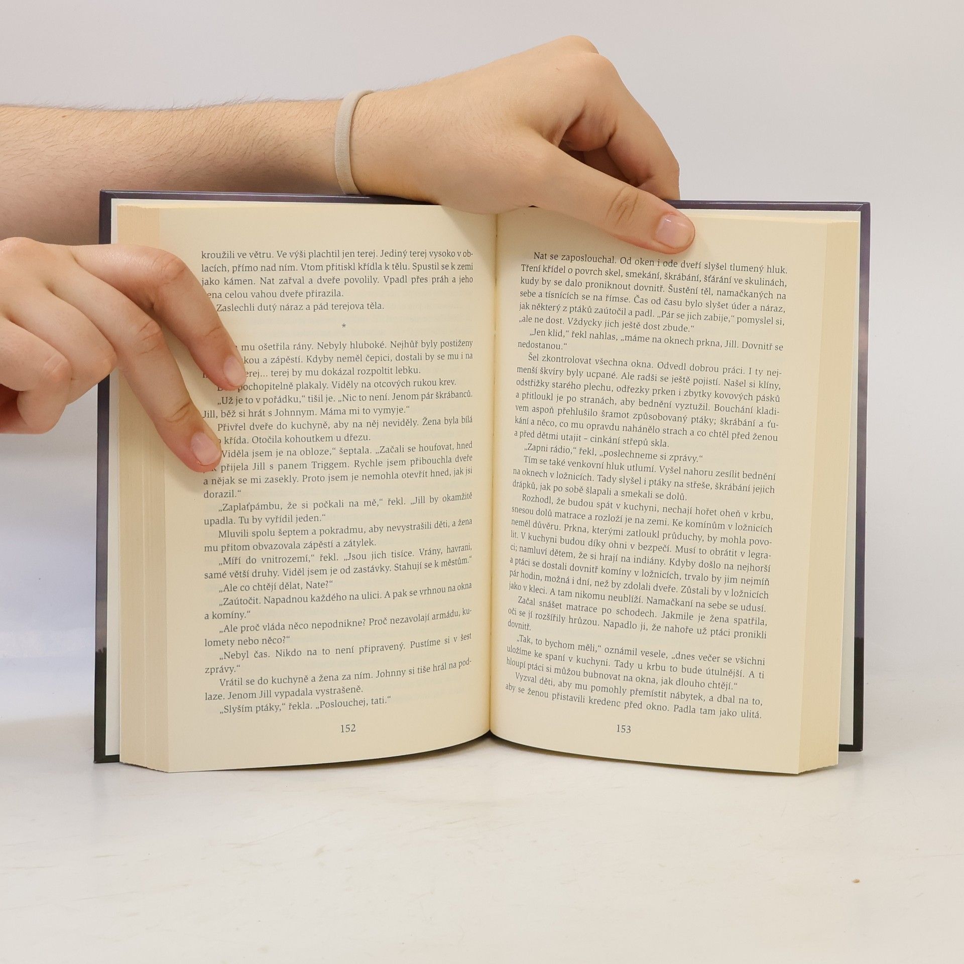 Daphne du Maurier Ptáci a jiné povídky