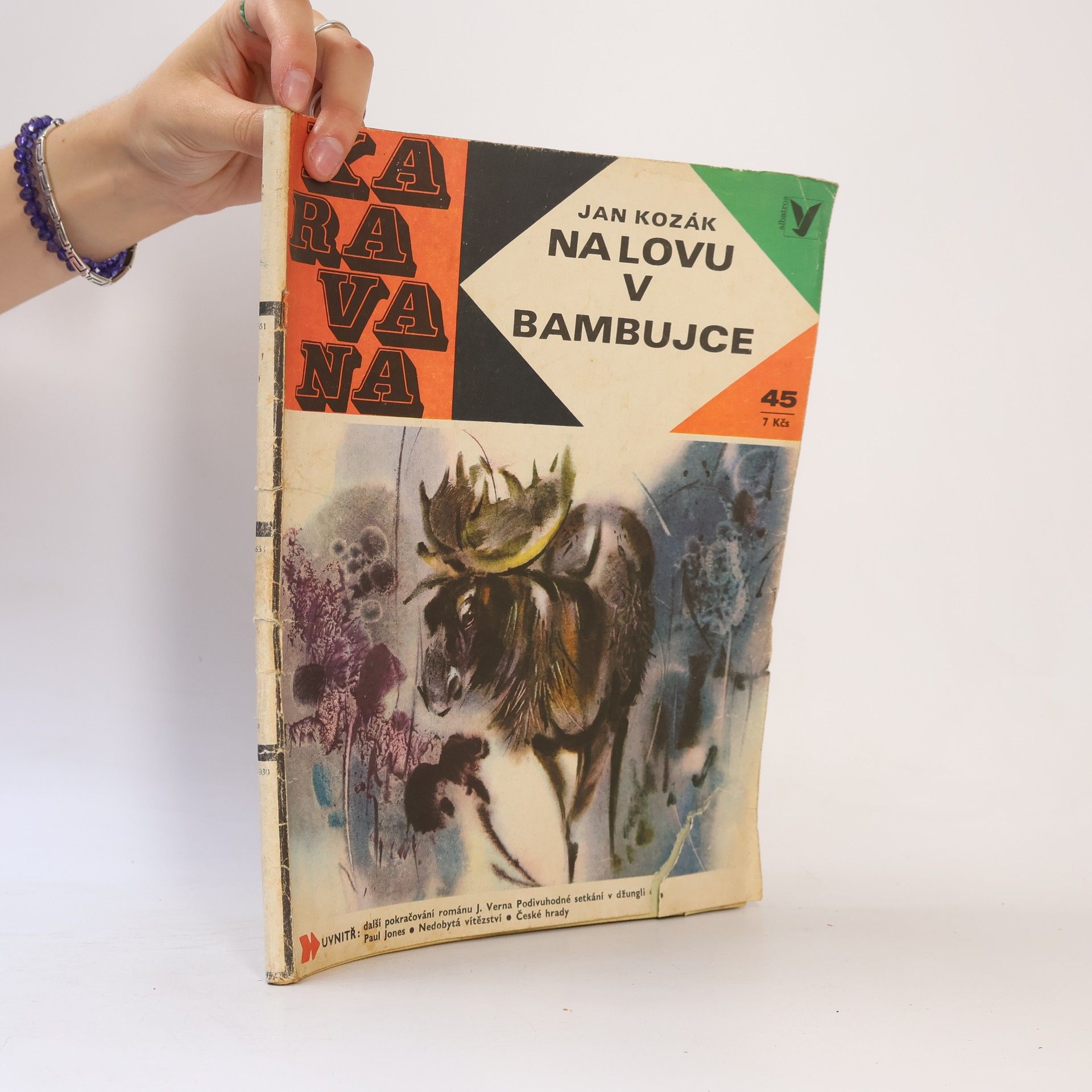 Jan A. Kozák Karavana č. 45. Na lovu v Bambujce.