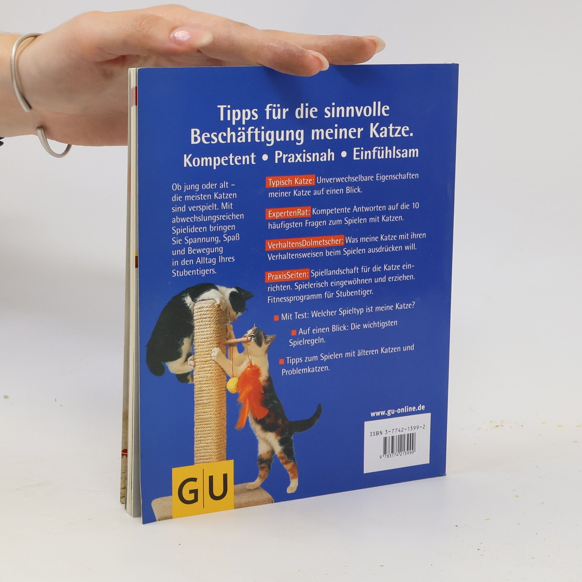 Sigrun Rittrich Dorenkamp Spielen mit Katzen