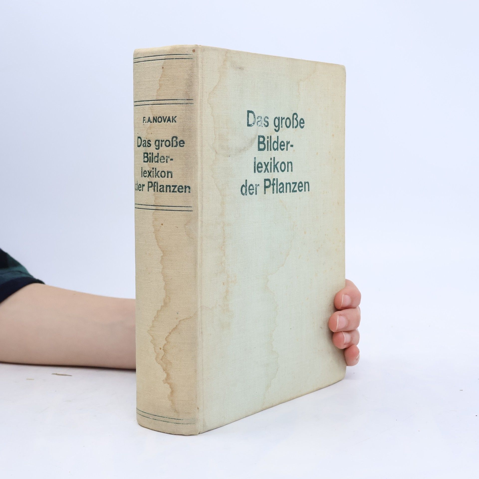 Novák F. A. Das grosse Bilderlexikon der Pflanzen