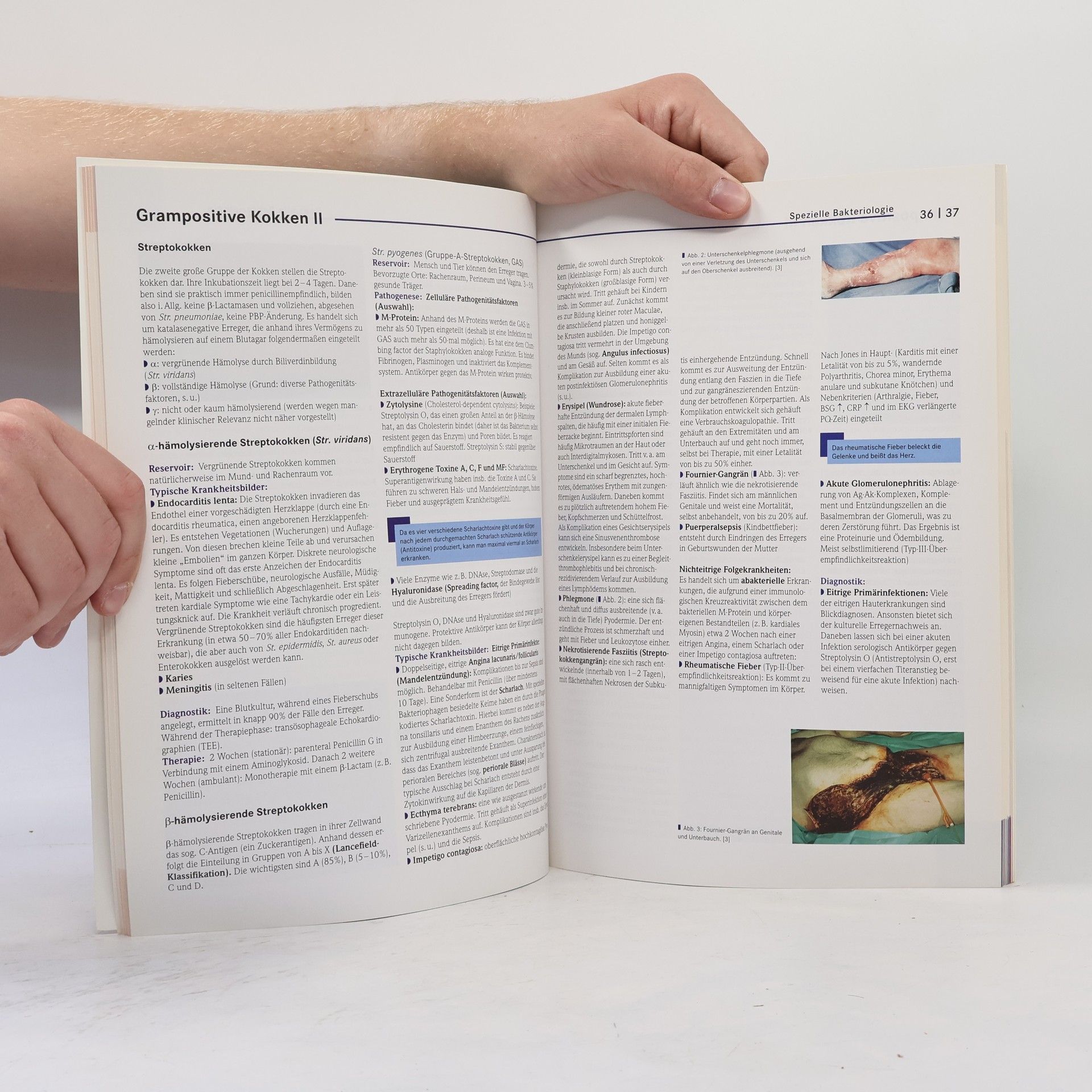 Henrik Holtmann Basics medizinische Mikrobiologie, Virologie und Hygiene
